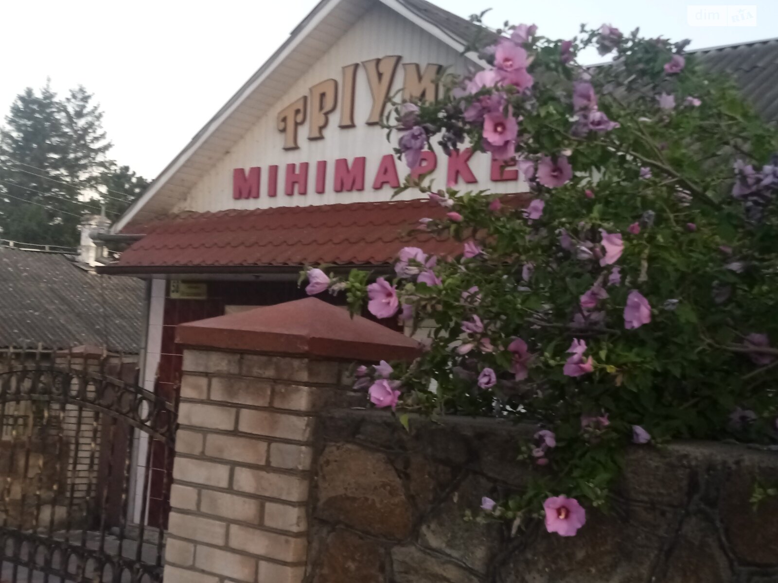 Коммерческое помещение в Могилеве-Подольском, сдам в аренду по Независимости проспект 58, район Могилев-Подольский, цена: 12 585 грн за объект фото 1 Коммерческое помещение в Могилеве-Подольском, сдам в аренду по Независимости проспект 58, район Могилев-Подольский, цена: 12 585 грн за объект фото 1