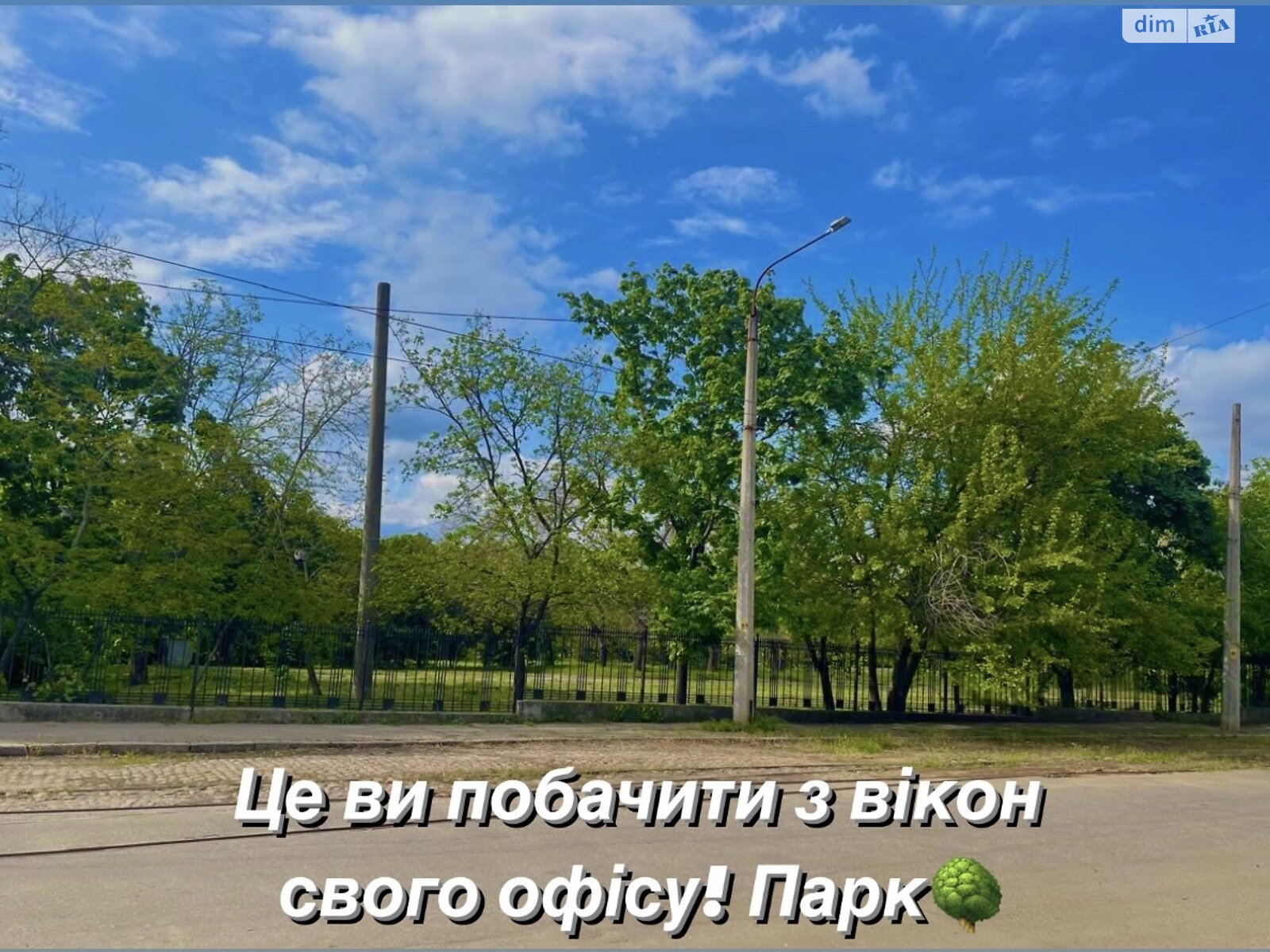 Коммерческое помещение в Николаеве, сдам в аренду по Военная 1-я улица, район Центральный, цена: 6 500 грн за объект фото 1