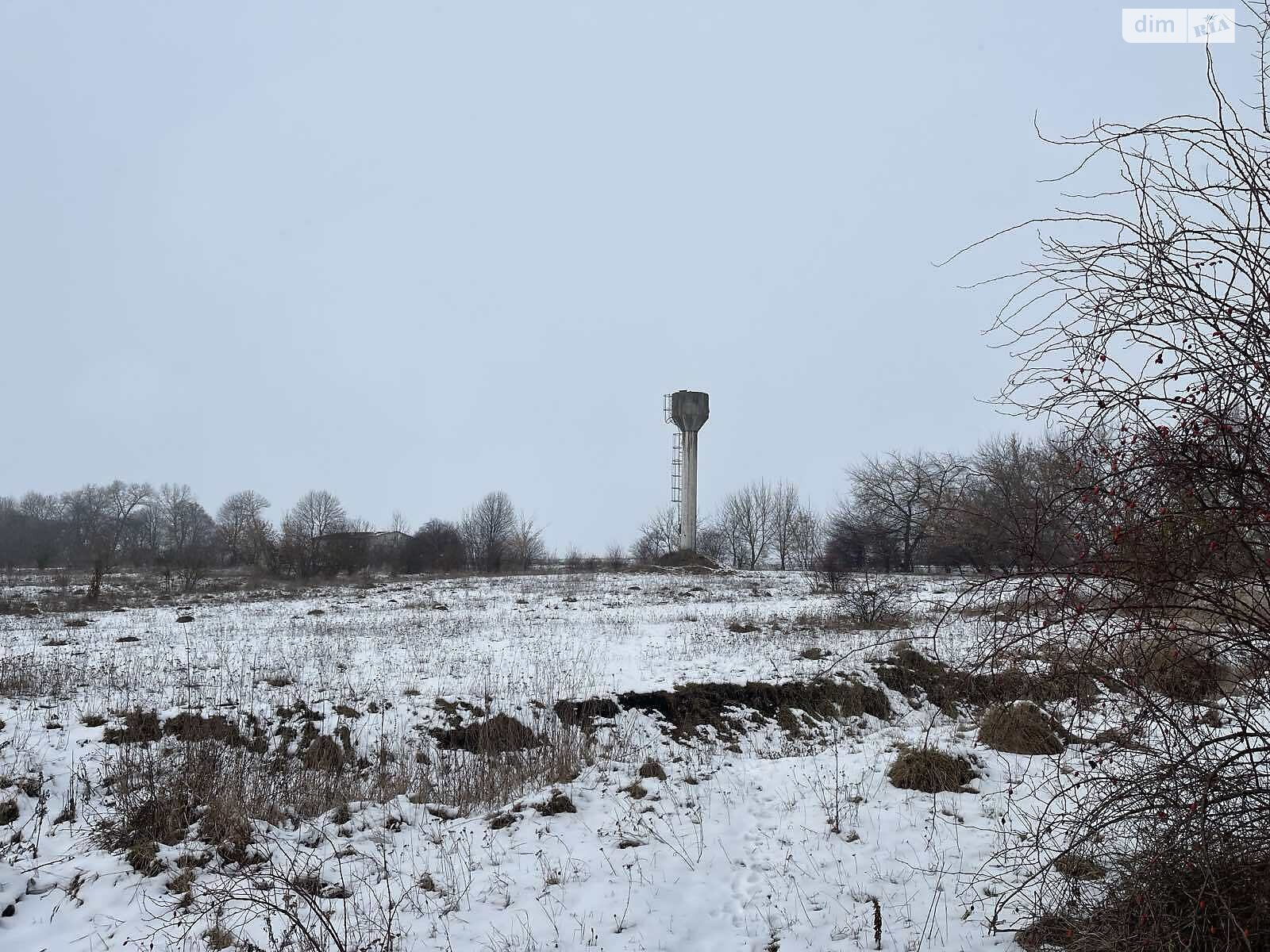 Коммерческое помещение в Новиках, Нова, цена аренды: 60 000 грн за объект фото 1