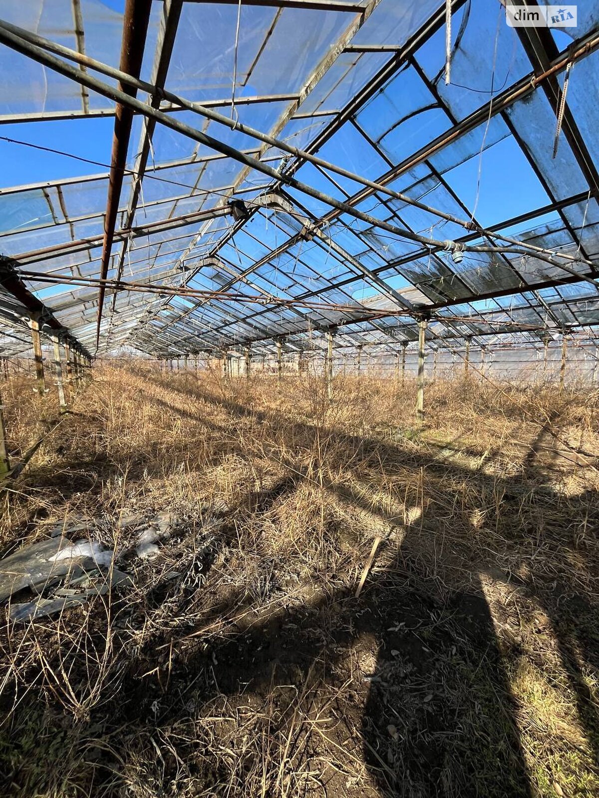 Комерційне приміщення в Побережжі, шевченка, ціна оренди: 42 510 грн за об’єкт фото 1