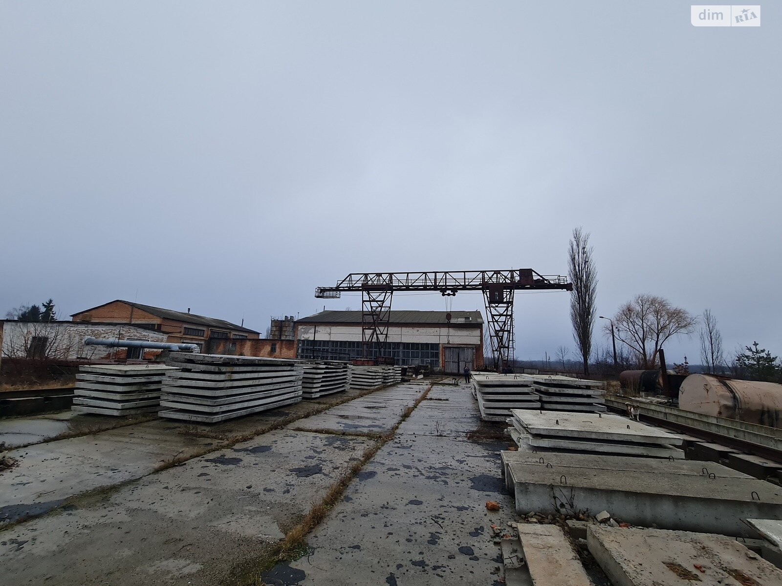 Комерційне приміщення в Рокитному, здам в оренду по Поповича вулиця 41, район Рокитне, ціна: 15 000 грн за об’єкт фото 1 Комерційне приміщення в Рокитному, здам в оренду по Поповича вулиця 41, район Рокитне, ціна: 15 000 грн за об’єкт фото 1