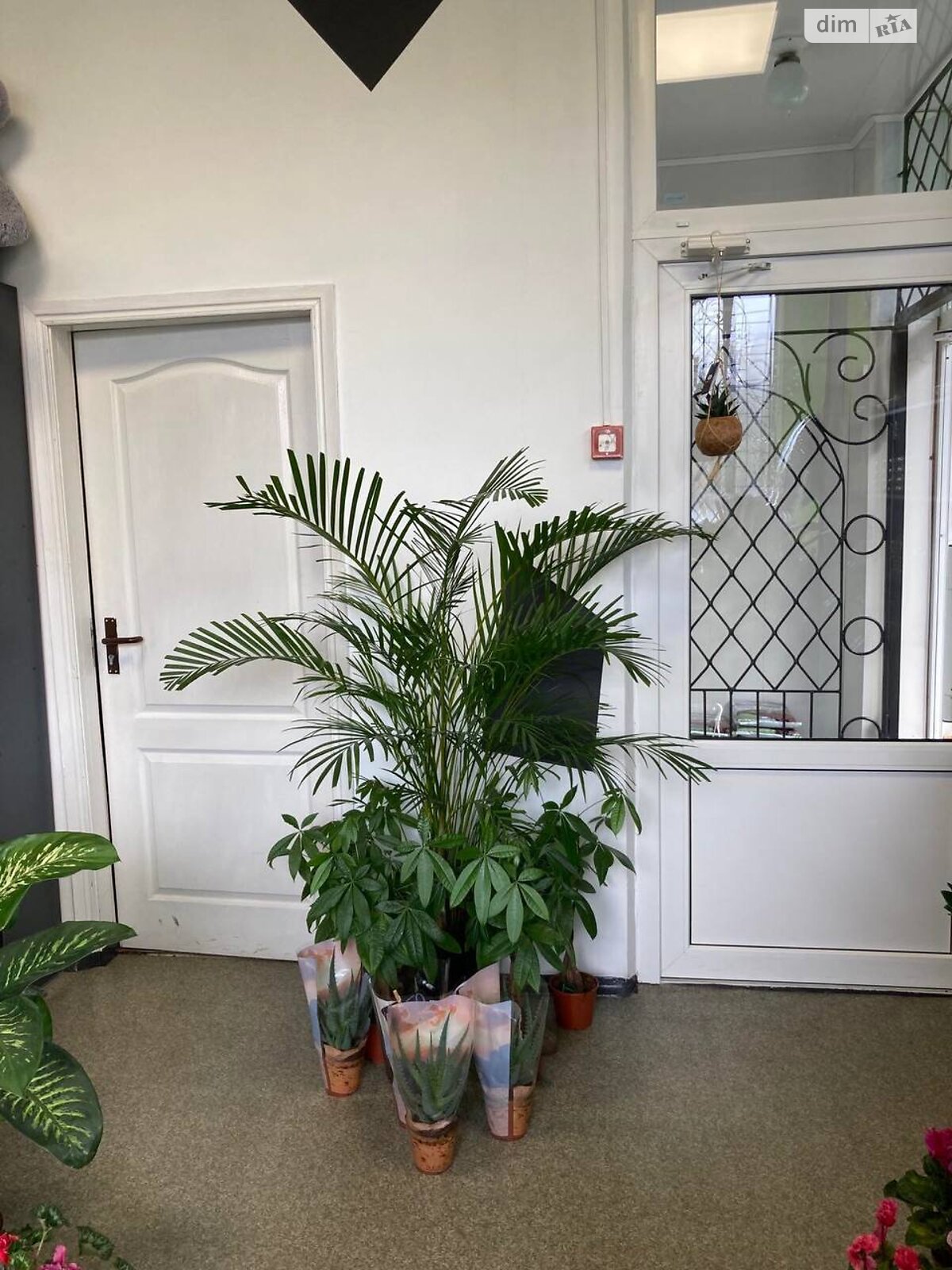 Коммерческое помещение в Ровно, сдам в аренду по Волонтерская (Тувинских Добровольцев) улица 8, район Боярка, цена: 13 500 грн за объект фото 1