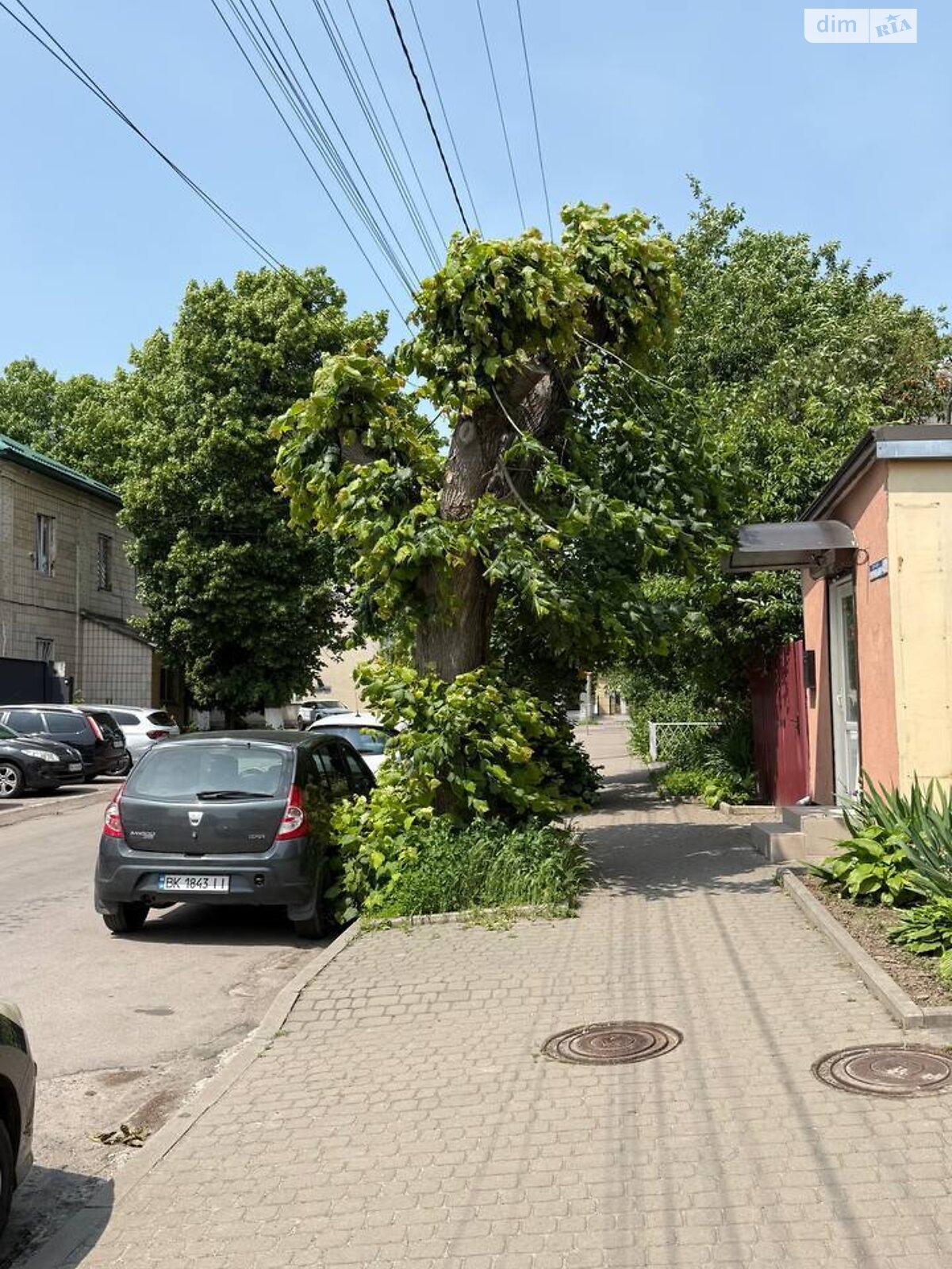 Коммерческое помещение в Ровно, сдам в аренду по Яворницкого улица 40, район Пивзавод, цена: 10 000 грн за объект фото 1 Коммерческое помещение в Ровно, сдам в аренду по Яворницкого улица 40, район Пивзавод, цена: 10 000 грн за объект фото 1