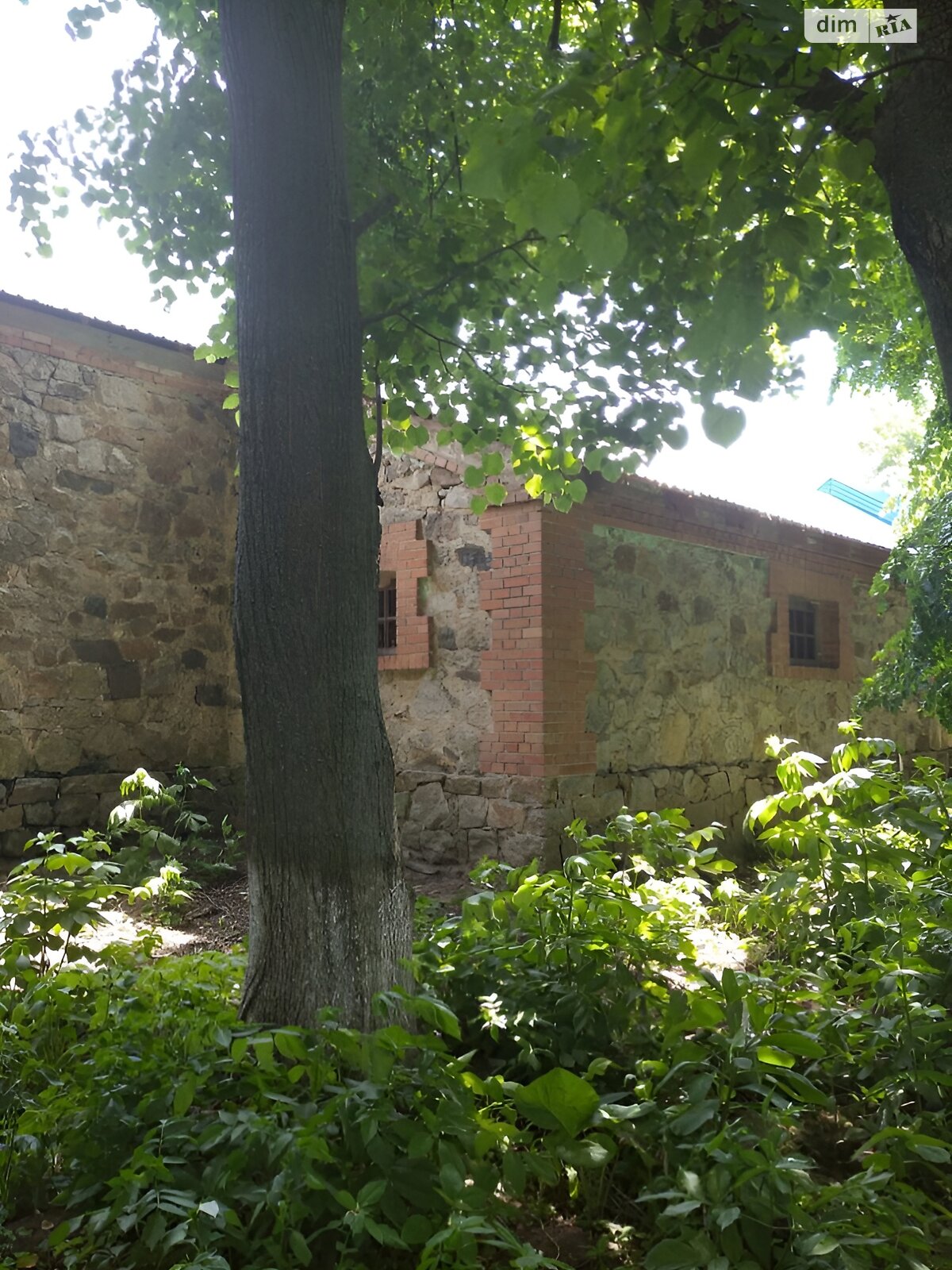 Коммерческое помещение в Широкой Гребле, Украинская (Ленина) улица 116, цена аренды: 20 000 грн за объект фото 1 Коммерческое помещение в Широкой Гребле, Украинская (Ленина) улица 116, цена аренды: 20 000 грн за объект фото 1