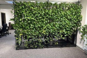 Коммерческое помещение в Тернополе, сдам в аренду по Чалдаева улица 12А, район Бам, цена: 46 475 грн за объект фото 2 Коммерческое помещение в Тернополе, сдам в аренду по Чалдаева улица 12А, район Бам, цена: 46 475 грн за объект фото 2