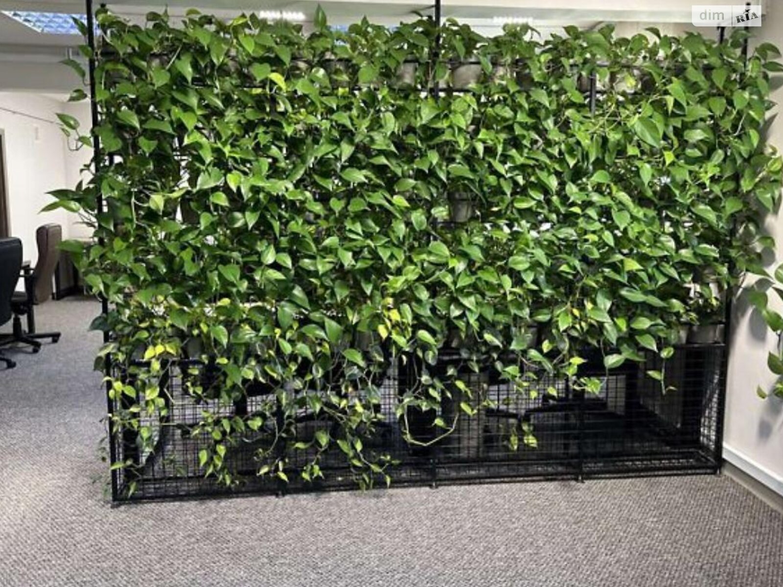 Коммерческое помещение в Тернополе, сдам в аренду по Чалдаева улица 12А, район Бам, цена: 46 475 грн за объект фото 1 Коммерческое помещение в Тернополе, сдам в аренду по Чалдаева улица 12А, район Бам, цена: 46 475 грн за объект фото 1