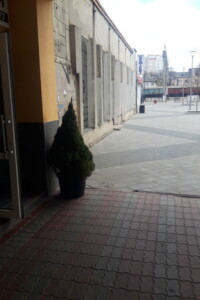 Коммерческое помещение в Тернополе, сдам в аренду по Хмельницкого Богдана улица 18, район Центр, цена: 3 000 грн за объект фото 2