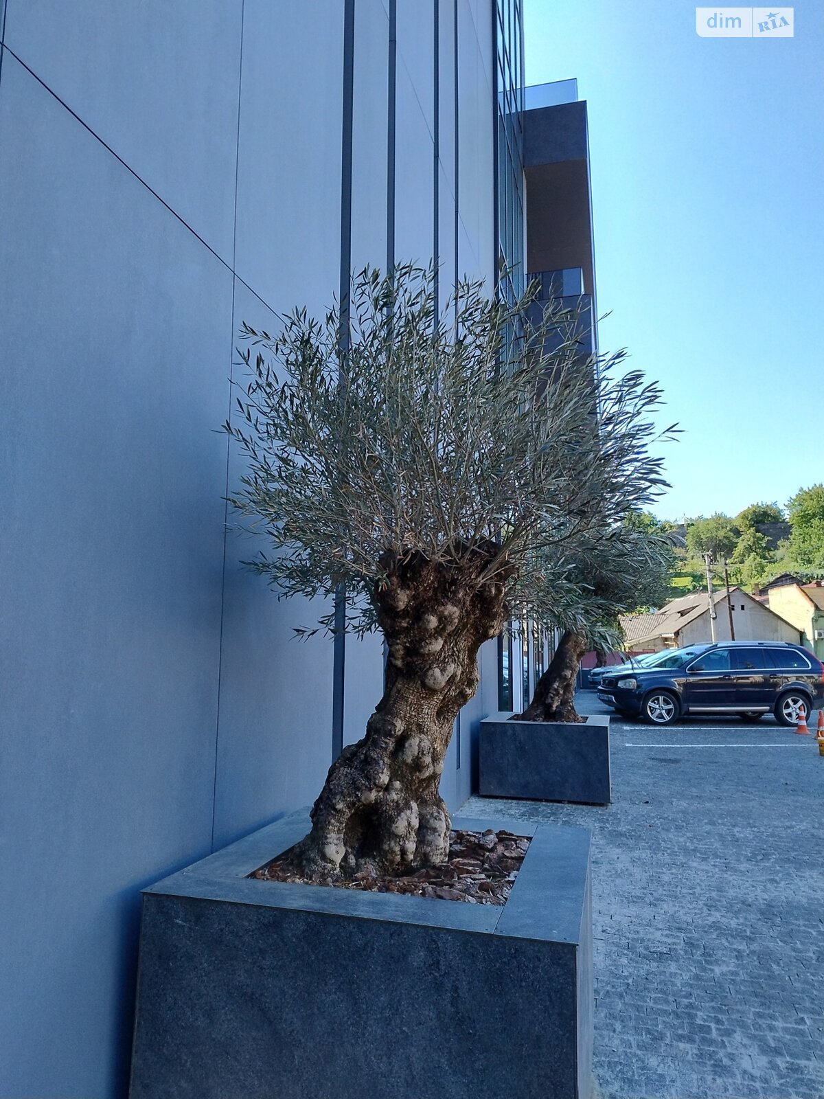 Комерційне приміщення в Ужгороді, здам в оренду по Острівна вулиця, район Центр, ціна: 71 444 грн за об’єкт фото 1