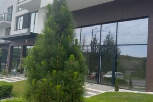 Комерційне приміщення в Ужгороді, Запорізька вулиця, ціна оренди: 60 070 грн за об’єкт фото 2