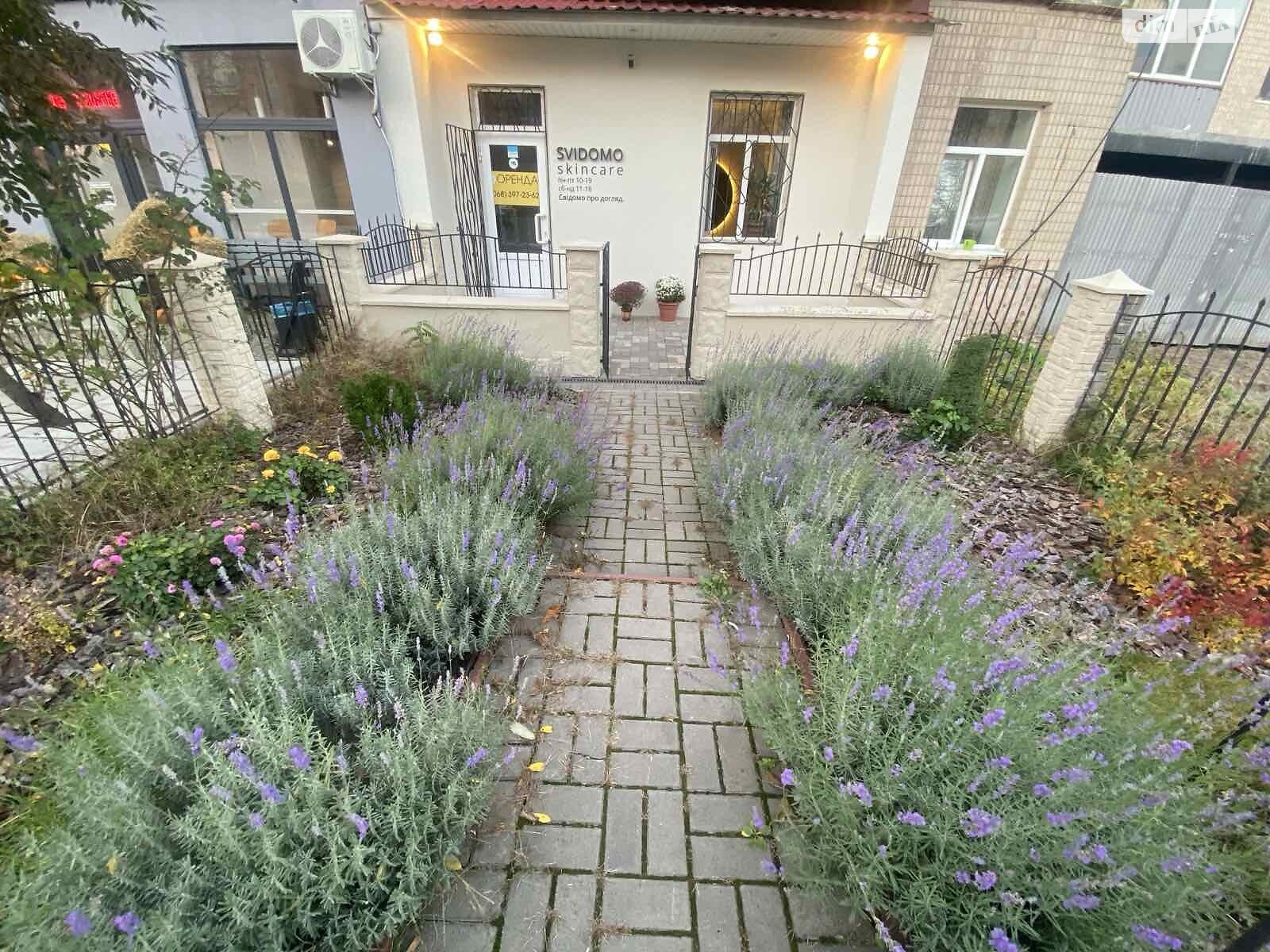 Коммерческое помещение в Виннице, сдам в аренду по Гоголя улица, район Центр, цена: 25 000 грн за объект фото 1 Коммерческое помещение в Виннице, сдам в аренду по Гоголя улица, район Центр, цена: 25 000 грн за объект фото 1