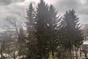 Коммерческое помещение в Виннице, сдам в аренду по Хмельницкое шоссе 2, район Центр, цена: 5 940 грн за объект фото 2 Коммерческое помещение в Виннице, сдам в аренду по Хмельницкое шоссе 2, район Центр, цена: 5 940 грн за объект фото 2