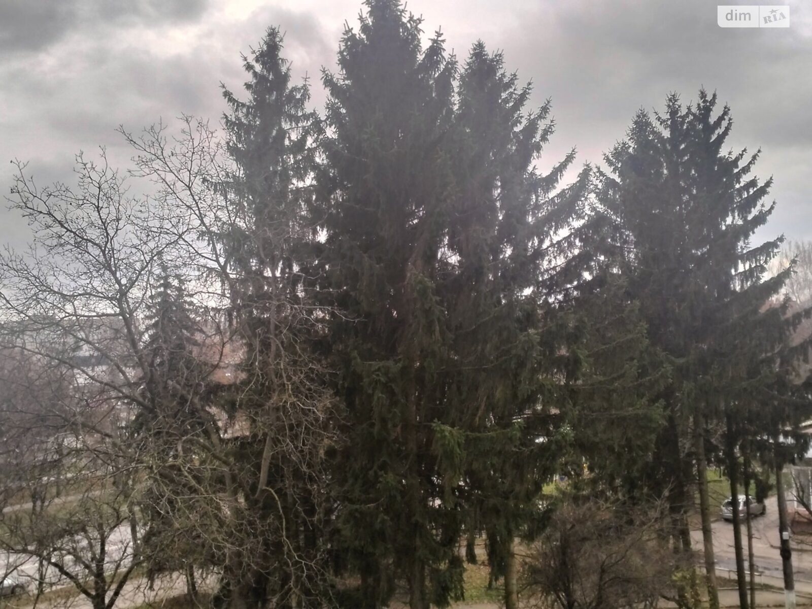 Коммерческое помещение в Виннице, сдам в аренду по Хмельницкое шоссе 2, район Центр, цена: 5 940 грн за объект фото 1 Коммерческое помещение в Виннице, сдам в аренду по Хмельницкое шоссе 2, район Центр, цена: 5 940 грн за объект фото 1