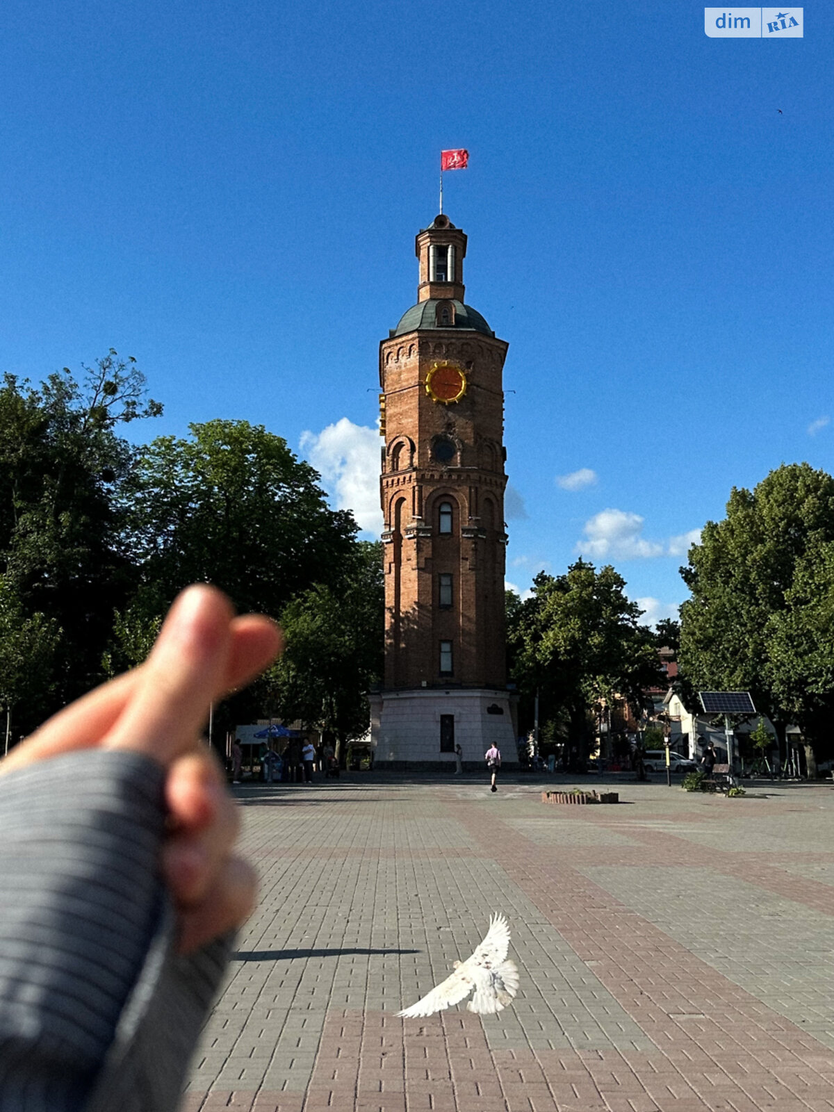 Комерційне приміщення в Вінниці, здам в оренду по Миколи Оводова вулиця 22, район Центр, ціна: 2 500 грн за об’єкт фото 1 Комерційне приміщення в Вінниці, здам в оренду по Миколи Оводова вулиця 22, район Центр, ціна: 2 500 грн за об’єкт фото 1