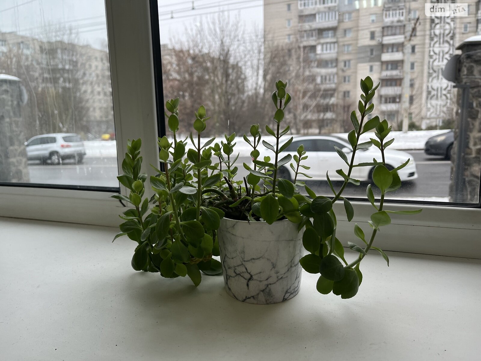 Комерційне приміщення в Вінниці, здам в оренду по Келецька вулиця, район Урожай, ціна: 20 000 грн за об’єкт фото 1 Комерційне приміщення в Вінниці, здам в оренду по Келецька вулиця, район Урожай, ціна: 20 000 грн за об’єкт фото 1