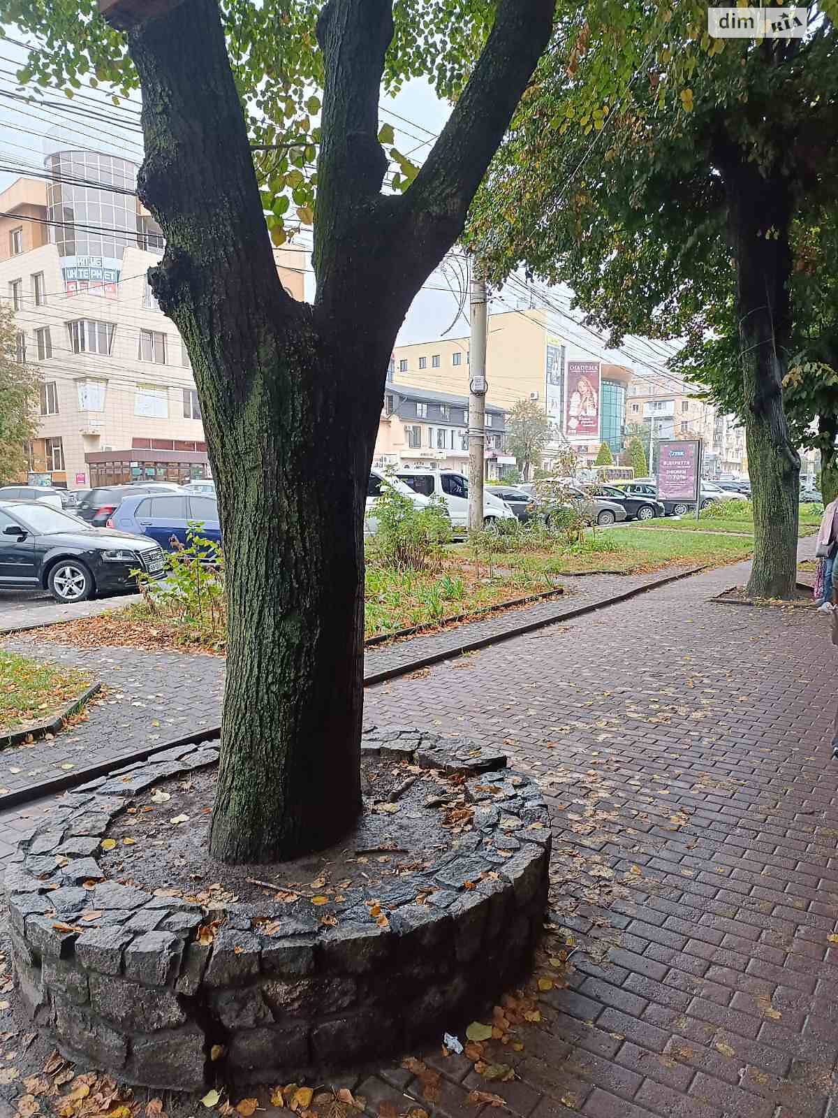 Коммерческое помещение в Виннице, сдам в аренду по Коцюбинского проспект, район Замостянский, цена: 35 000 грн за объект фото 1