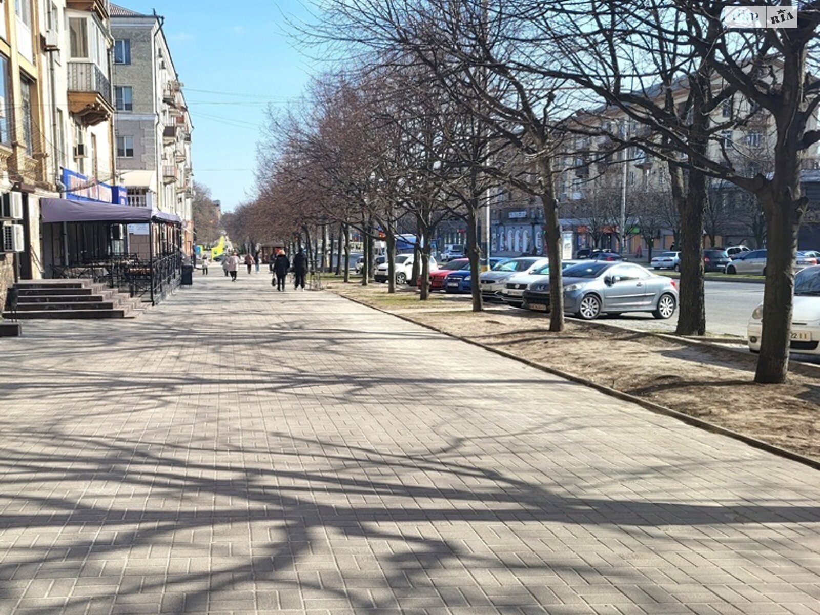 Коммерческое помещение в Запорожье, сдам в аренду по Соборный проспект, район Вознесеновский (Орджоникидзевский), цена: 80 000 грн за объект фото 1