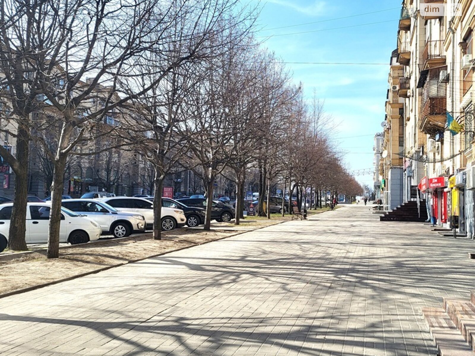 Коммерческое помещение в Запорожье, сдам в аренду по Соборный проспект, район Вознесеновский (Орджоникидзевский), цена: 80 000 грн за объект фото 1