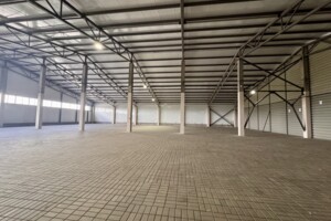 Коммерческое помещение в Зарванцах, Одесская улица, цена аренды: 324 280 грн за объект фото 2