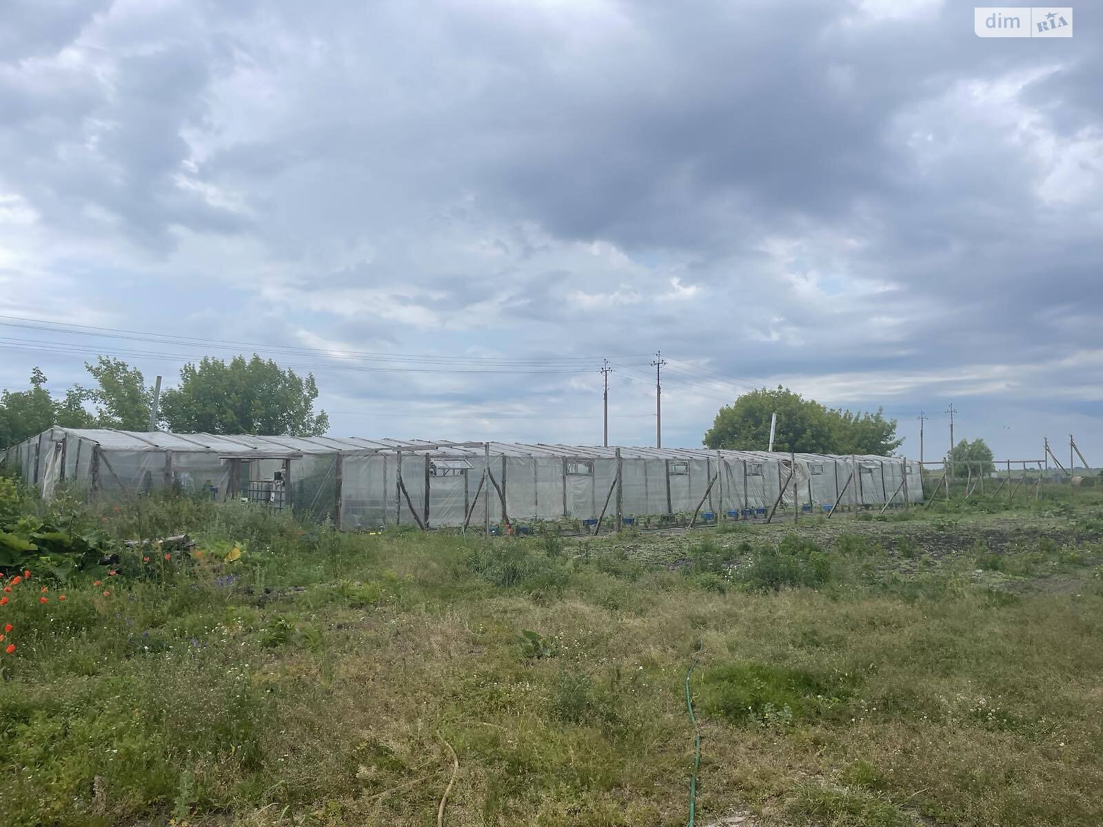 Коммерческое помещение в Зирном, вулиця Зірненька 56, цена аренды: 45 000 грн за объект фото 1 Коммерческое помещение в Зирном, вулиця Зірненька 56, цена аренды: 45 000 грн за объект фото 1