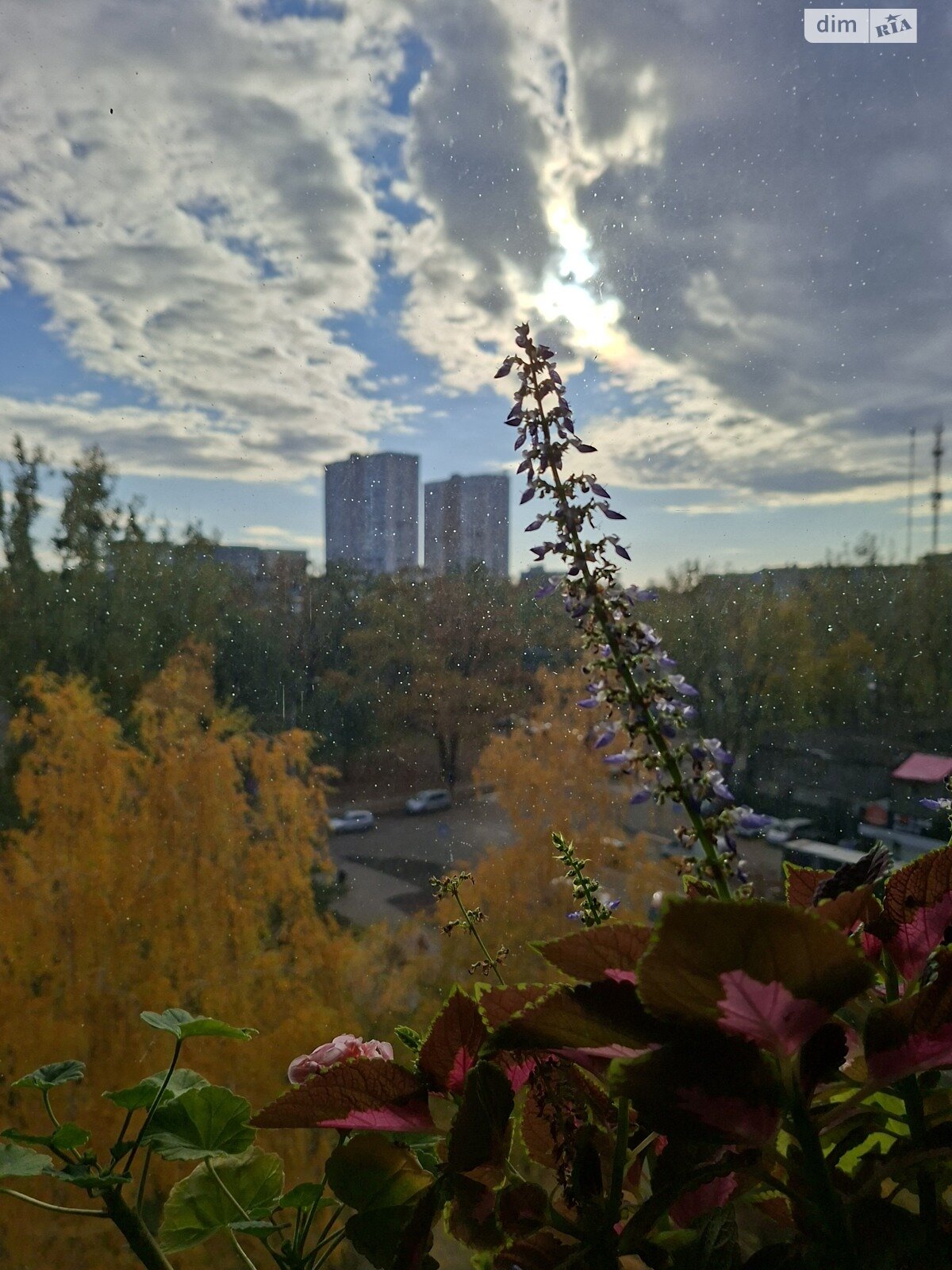 Комната проживание без хозяев в Киеве, район Академгородок улица Ореста Васкула (Феодори Пушиной) 8, кв. 236, помесячно фото 1 Комната проживание без хозяев в Киеве, район Академгородок улица Ореста Васкула (Феодори Пушиной) 8, кв. 236, помесячно фото 1