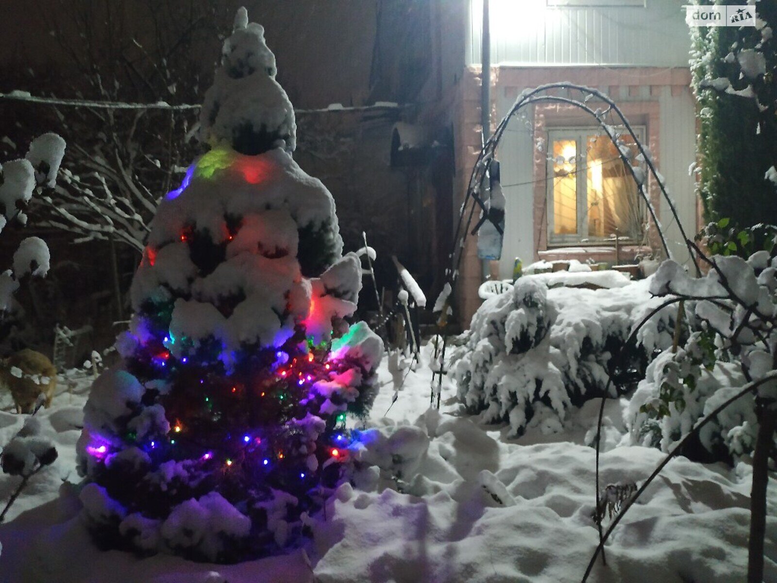 Комната в Киеве, район Днепровский улица Садовая помесячно фото 1