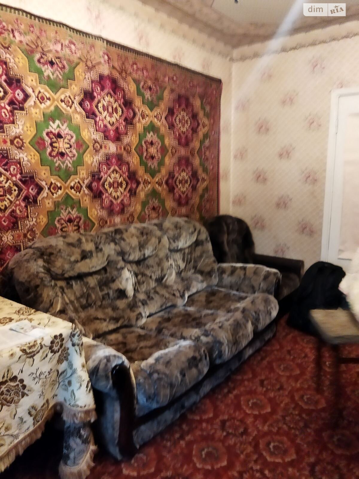 Кімната проживання без господарів в Києві, район Харківський Масив вулиця Братства тарасівців (Декабристів) 5 помісячно фото 1 Кімната проживання без господарів в Києві, район Харківський Масив вулиця Братства тарасівців (Декабристів) 5 помісячно фото 1