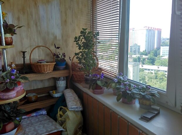 Комната в Киеве, район Шулявка улица Генерала Тупикова 14г помесячно фото 1 Комната в Киеве, район Шулявка улица Генерала Тупикова 14г помесячно фото 1