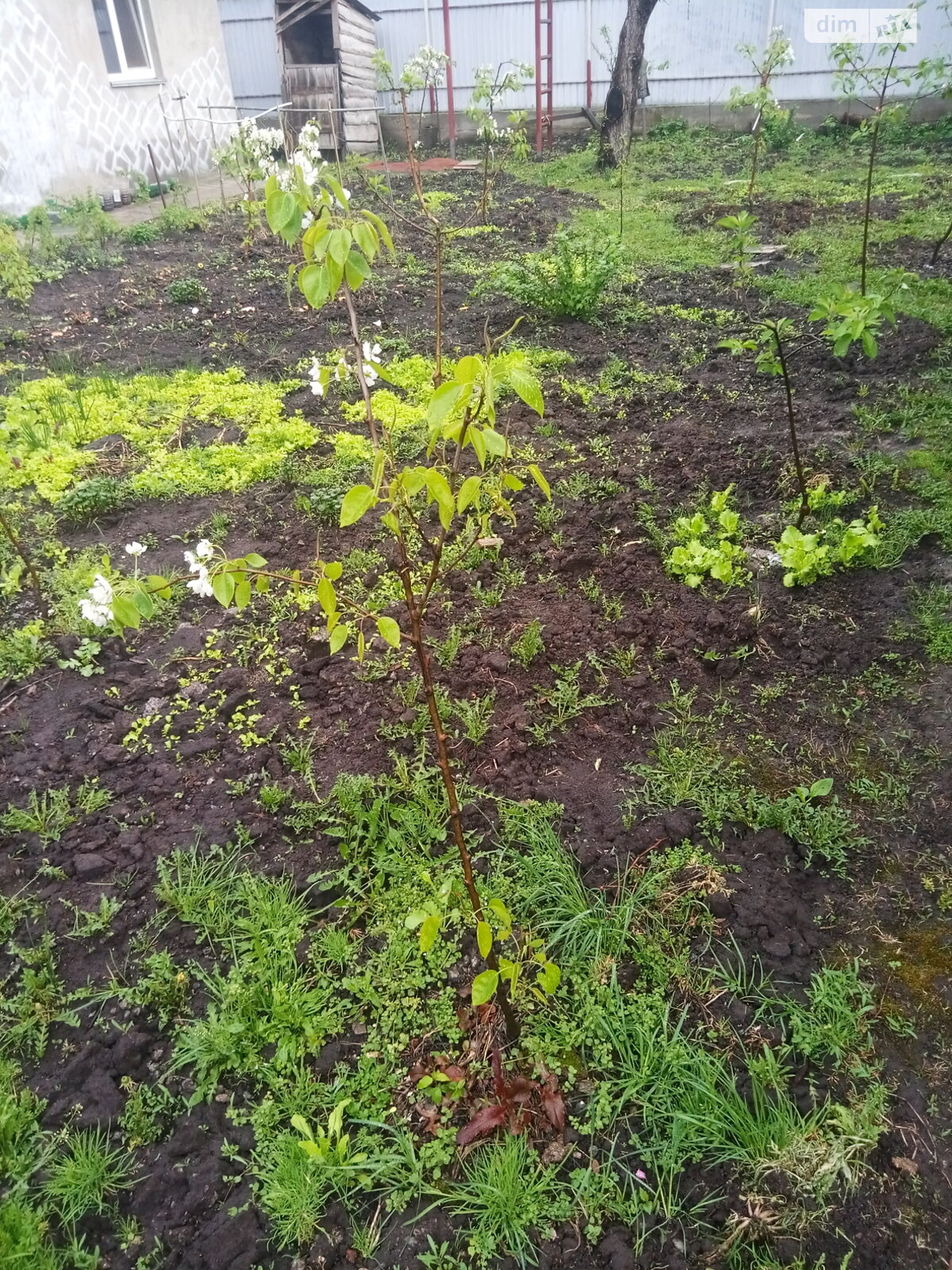 Кімната в Києві, район Західні Позняки вулиця Лугова помісячно фото 1