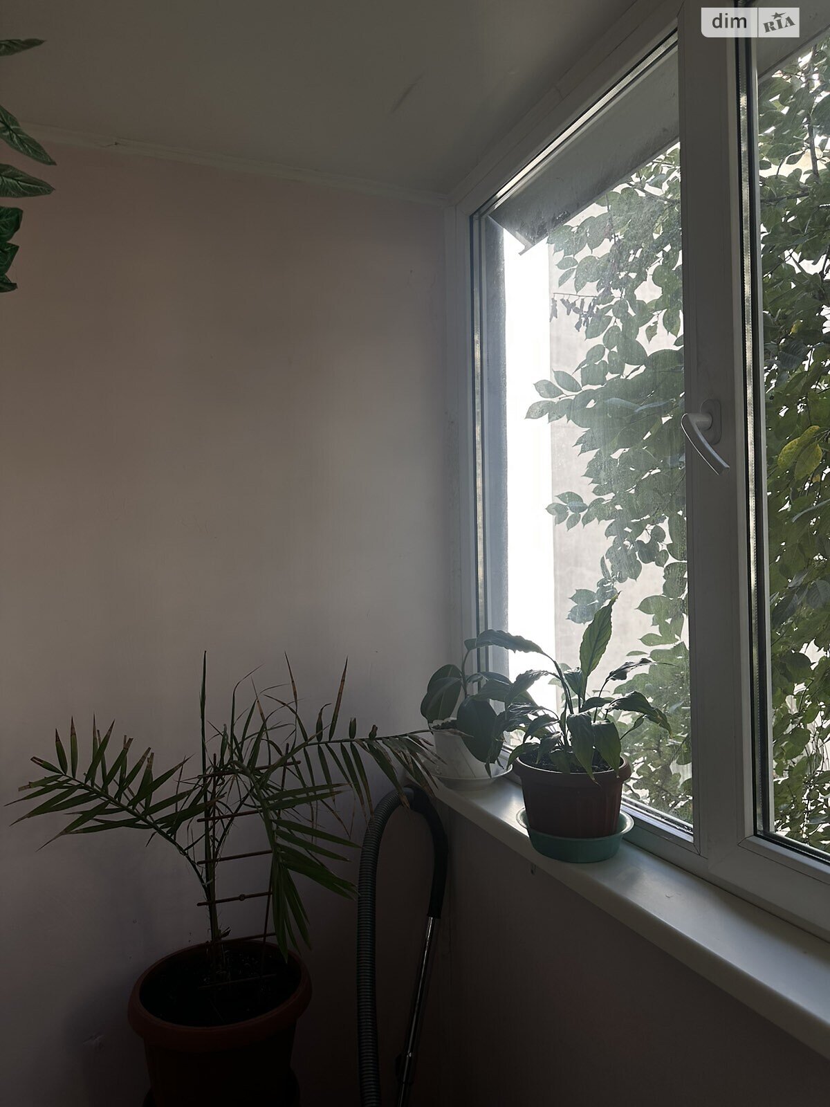 Кімната в Одесі, район Черемушки вулиця Академіка Філатова помісячно фото 1 Кімната в Одесі, район Черемушки вулиця Академіка Філатова помісячно фото 1