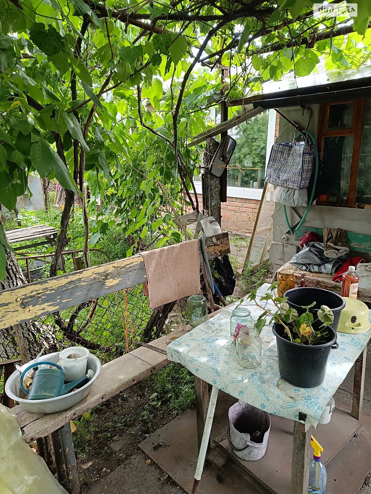 Комната в Полтаве, район Лесок улица Новаторская 24 помесячно фото 1 Комната в Полтаве, район Лесок улица Новаторская 24 помесячно фото 1