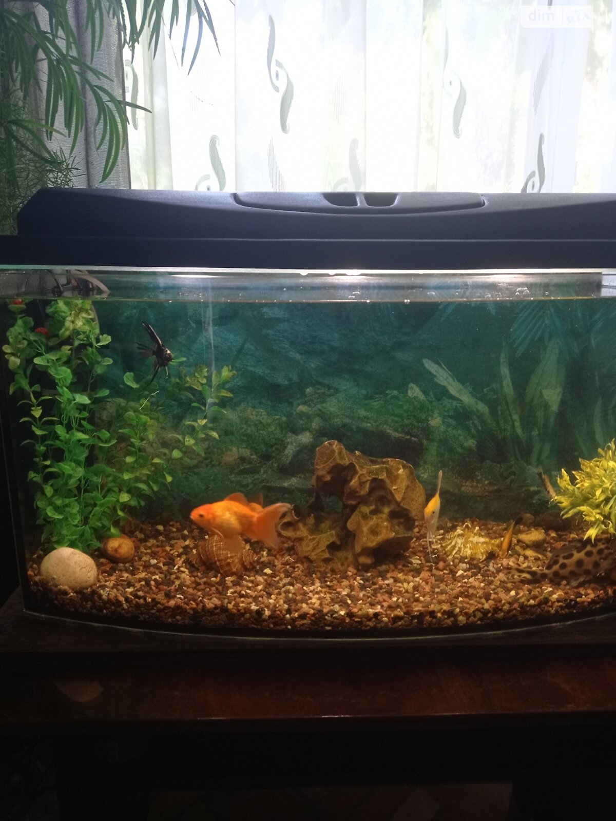 Комната в Тернополе, район Дружба улица Мира помесячно фото 1 Комната в Тернополе, район Дружба улица Мира помесячно фото 1