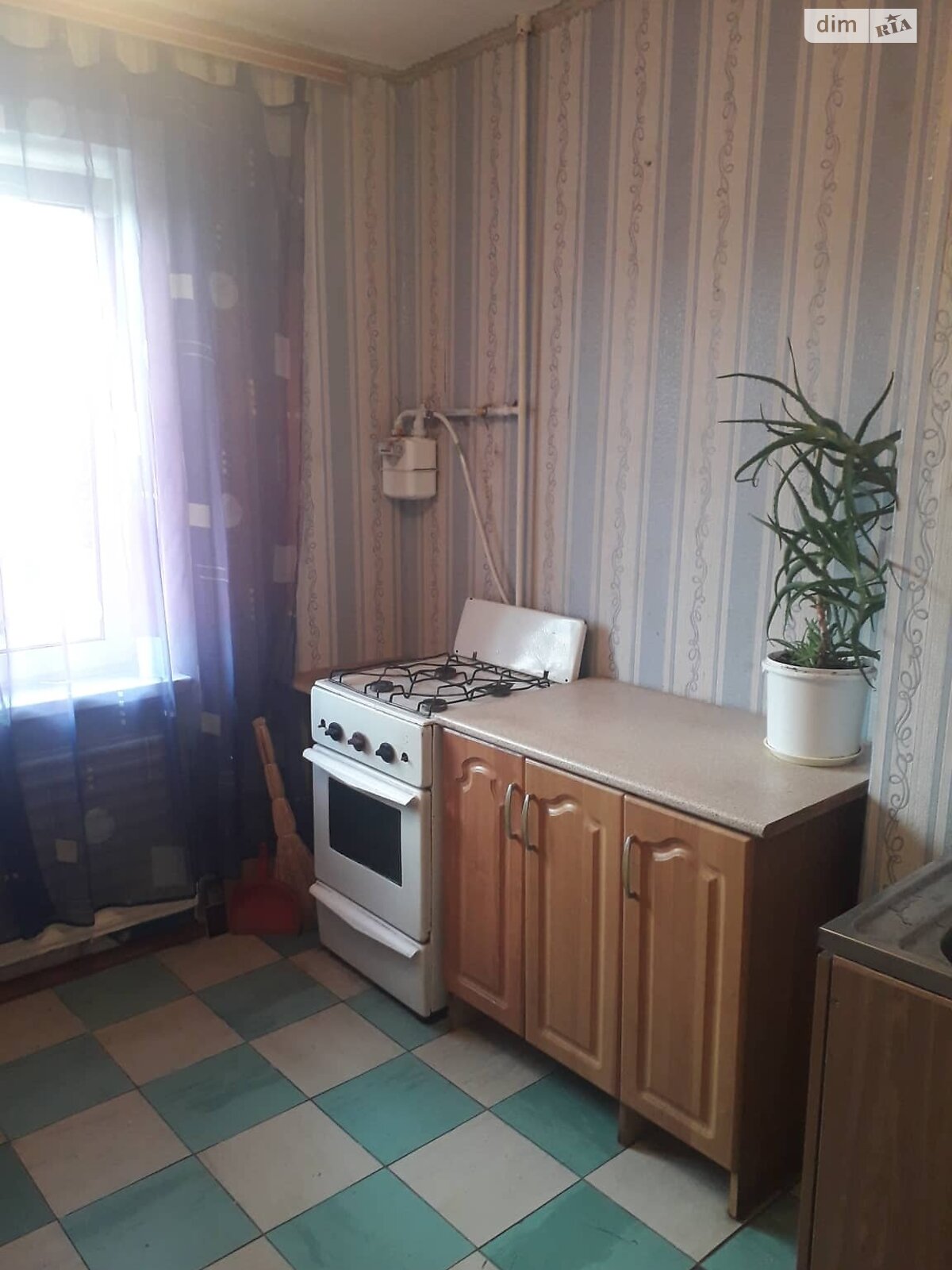 однокомнатная квартира в Белой Церкви, район 4 микрорайон, на ул. Зенитного полка 36 в аренду на долгий срок помесячно фото 1 однокомнатная квартира в Белой Церкви, район 4 микрорайон, на ул. Зенитного полка 36 в аренду на долгий срок помесячно фото 1