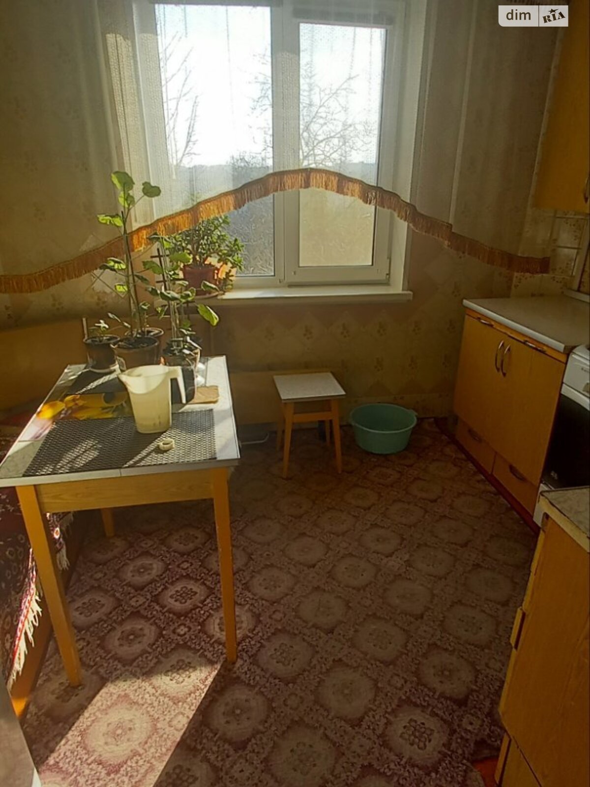 двухкомнатная квартира в Белой Церкви, район Леваневского, на ул. Ивана Кожедуба в аренду на долгий срок помесячно фото 1