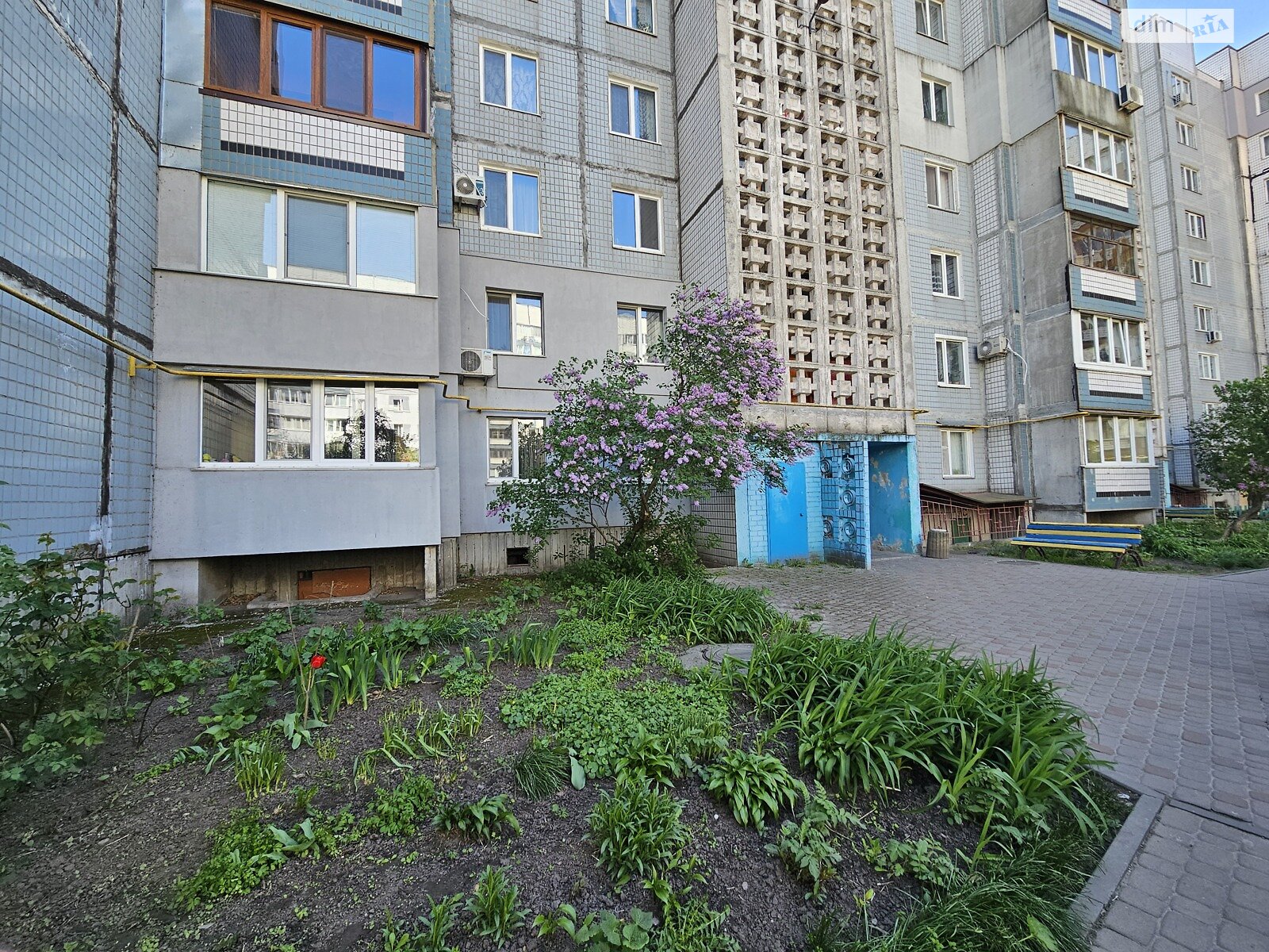 однокомнатная квартира в Черкассах, район Приднепровский, на ул. Припортовая 14 в аренду на долгий срок помесячно фото 1 однокомнатная квартира в Черкассах, район Приднепровский, на ул. Припортовая 14 в аренду на долгий срок помесячно фото 1