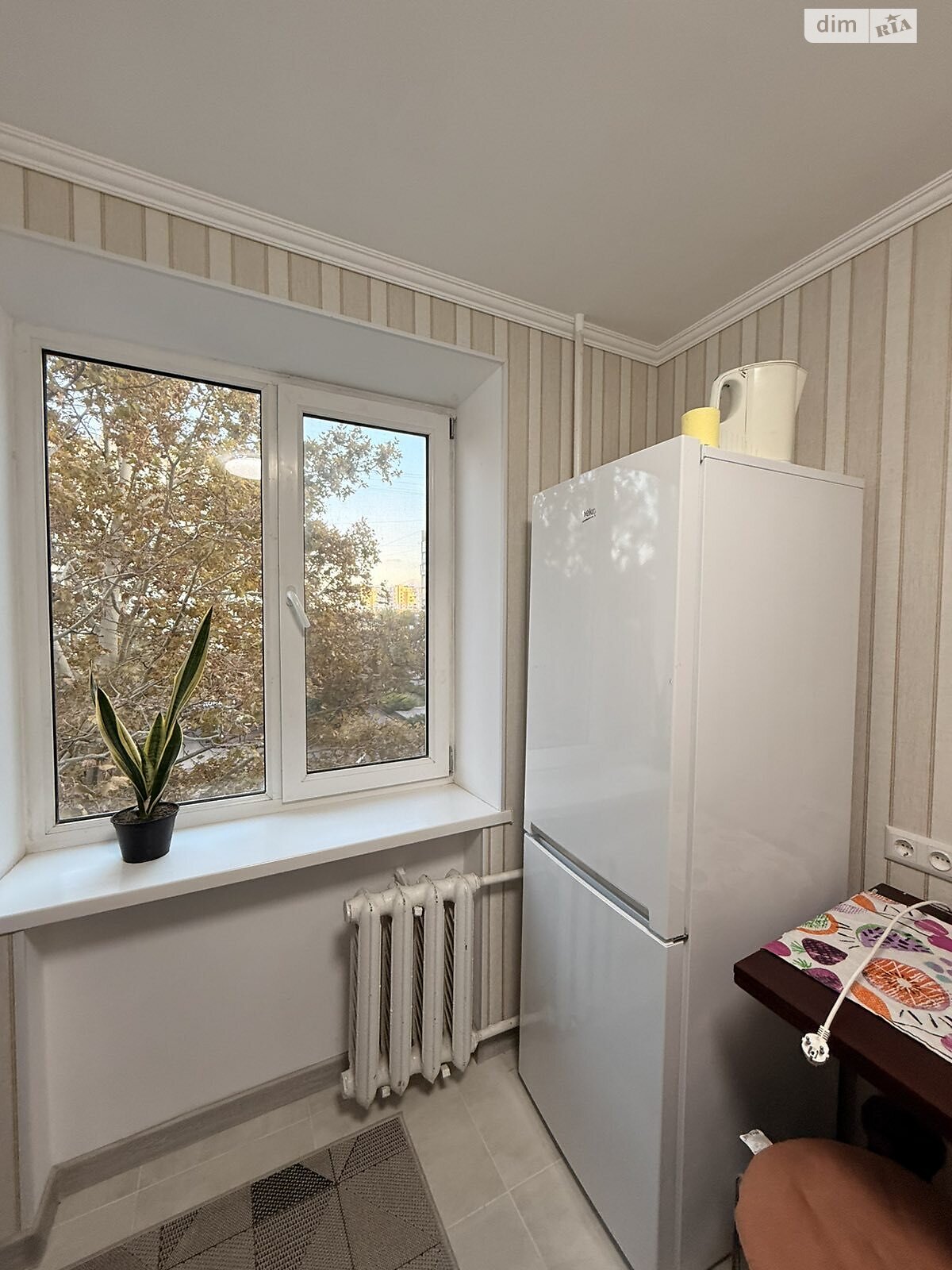 однокомнатная квартира в Черноморске, район Ильичевск, на просп. Мира 28, кв. 179 в аренду на долгий срок помесячно фото 1 однокомнатная квартира в Черноморске, район Ильичевск, на просп. Мира 28, кв. 179 в аренду на долгий срок помесячно фото 1