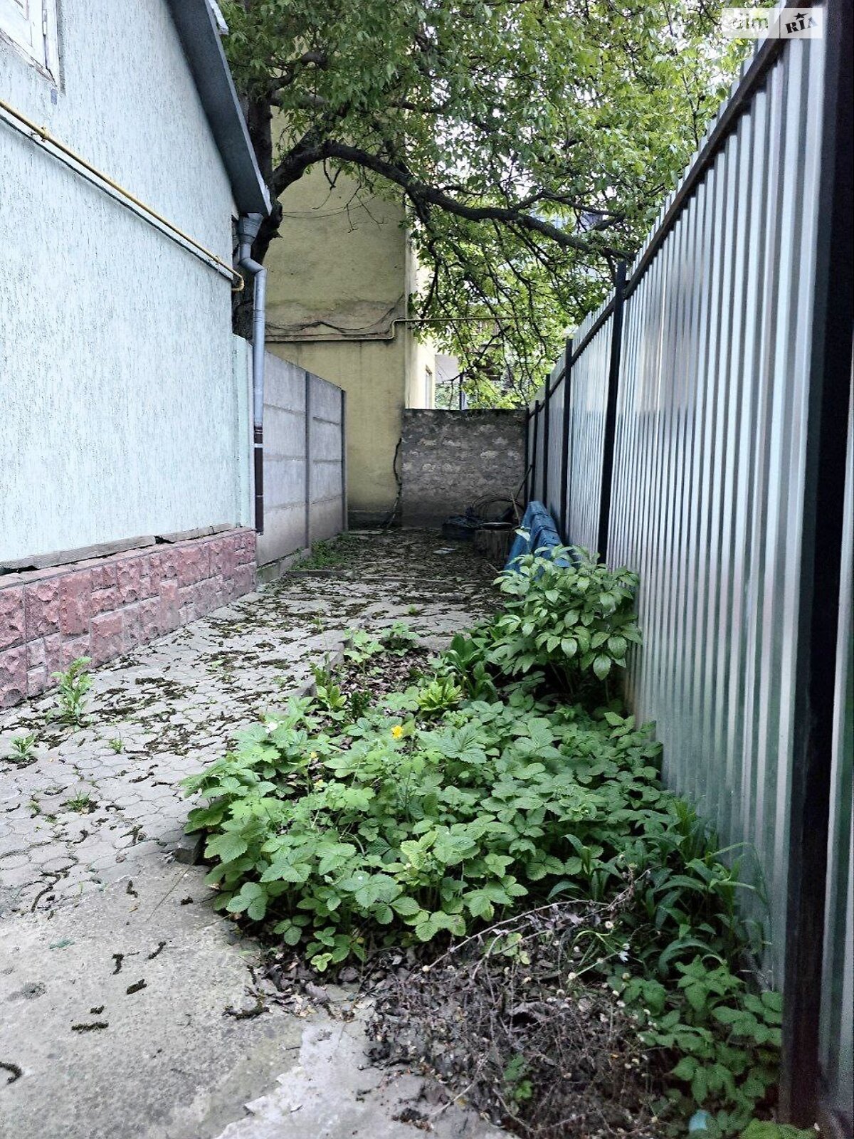 однокомнатная квартира в Черновцах, район Первомайский, на ул. Главная в аренду на долгий срок помесячно фото 1 однокомнатная квартира в Черновцах, район Первомайский, на ул. Главная в аренду на долгий срок помесячно фото 1