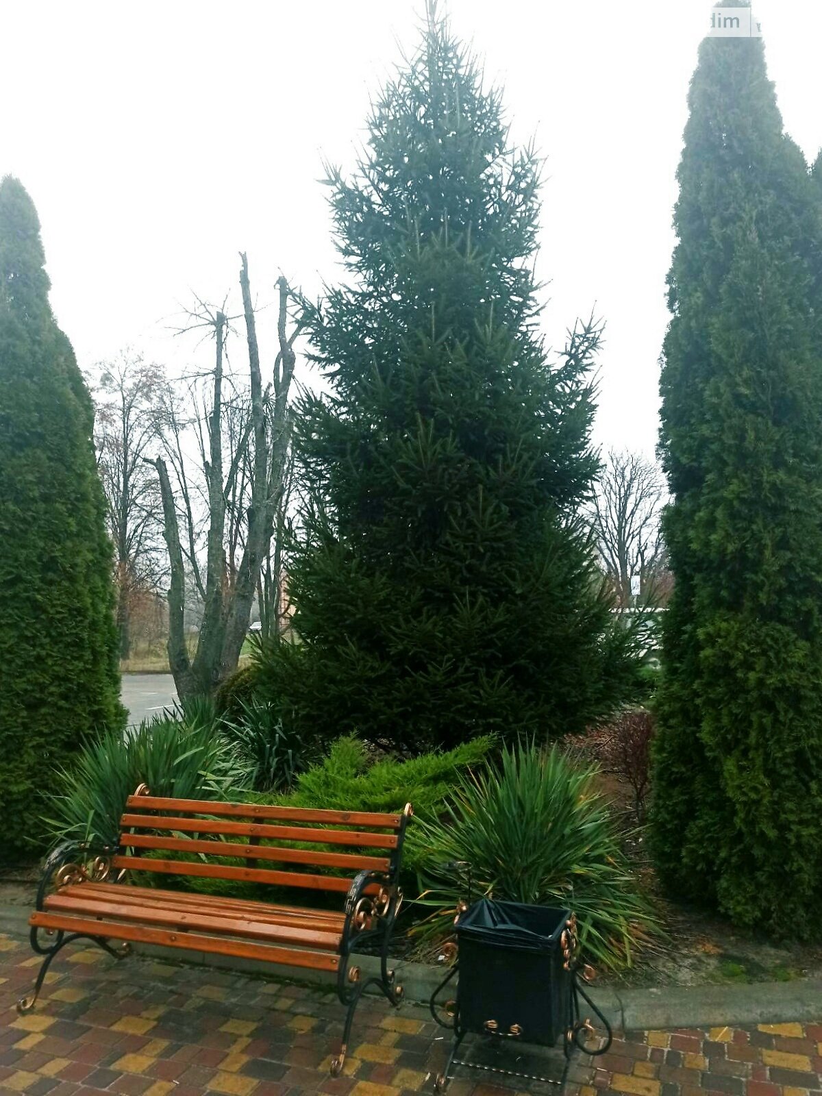 однокомнатная квартира в Дмитровке, на ул. Молодёжная 14 в аренду на долгий срок помесячно фото 1 однокомнатная квартира в Дмитровке, на ул. Молодёжная 14 в аренду на долгий срок помесячно фото 1