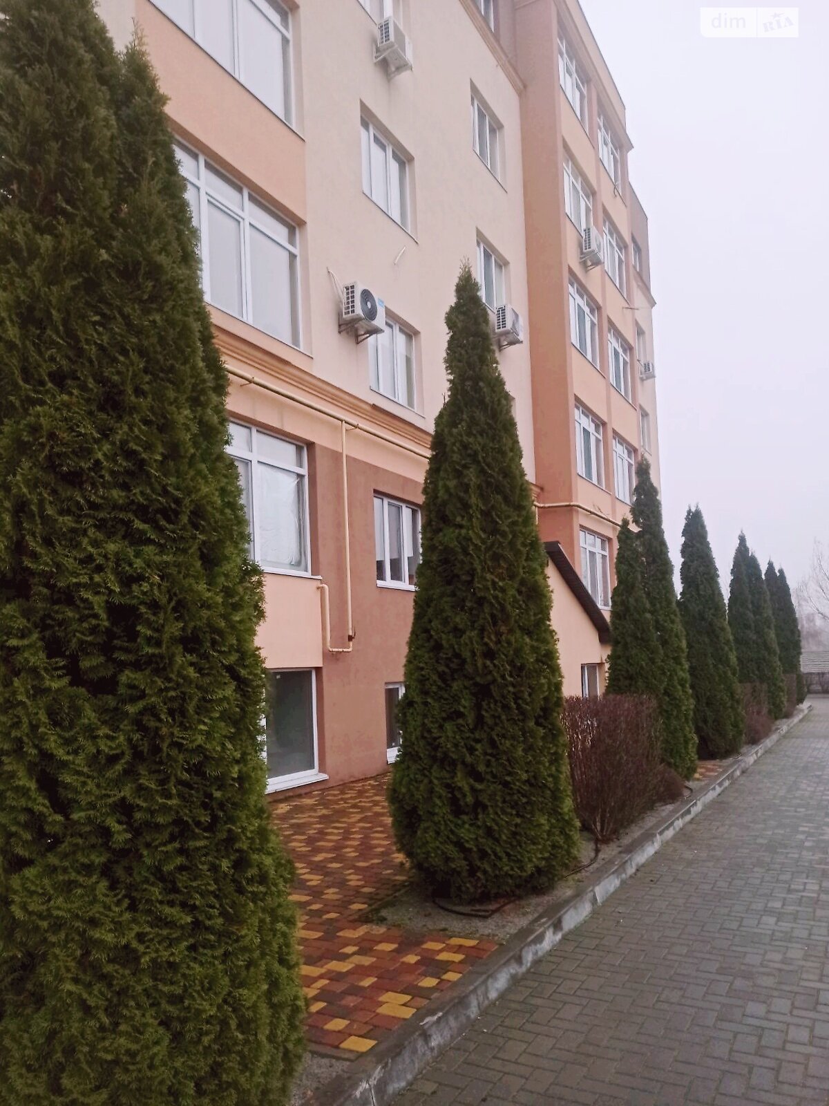 однокомнатная квартира в Дмитровке, на ул. Молодёжная 14 в аренду на долгий срок помесячно фото 1 однокомнатная квартира в Дмитровке, на ул. Молодёжная 14 в аренду на долгий срок помесячно фото 1