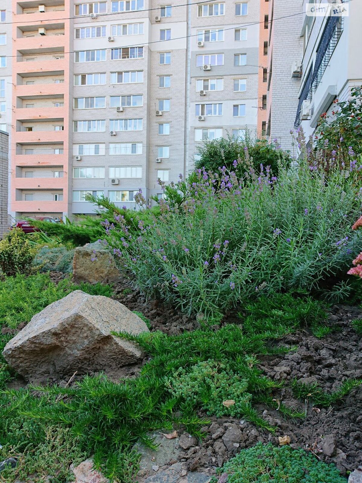 однокомнатная квартира в Днепре, район Чечеловский, на ул. Дмитрия Кедрина 53А в аренду на долгий срок помесячно фото 1 однокомнатная квартира в Днепре, район Чечеловский, на ул. Дмитрия Кедрина 53А в аренду на долгий срок помесячно фото 1