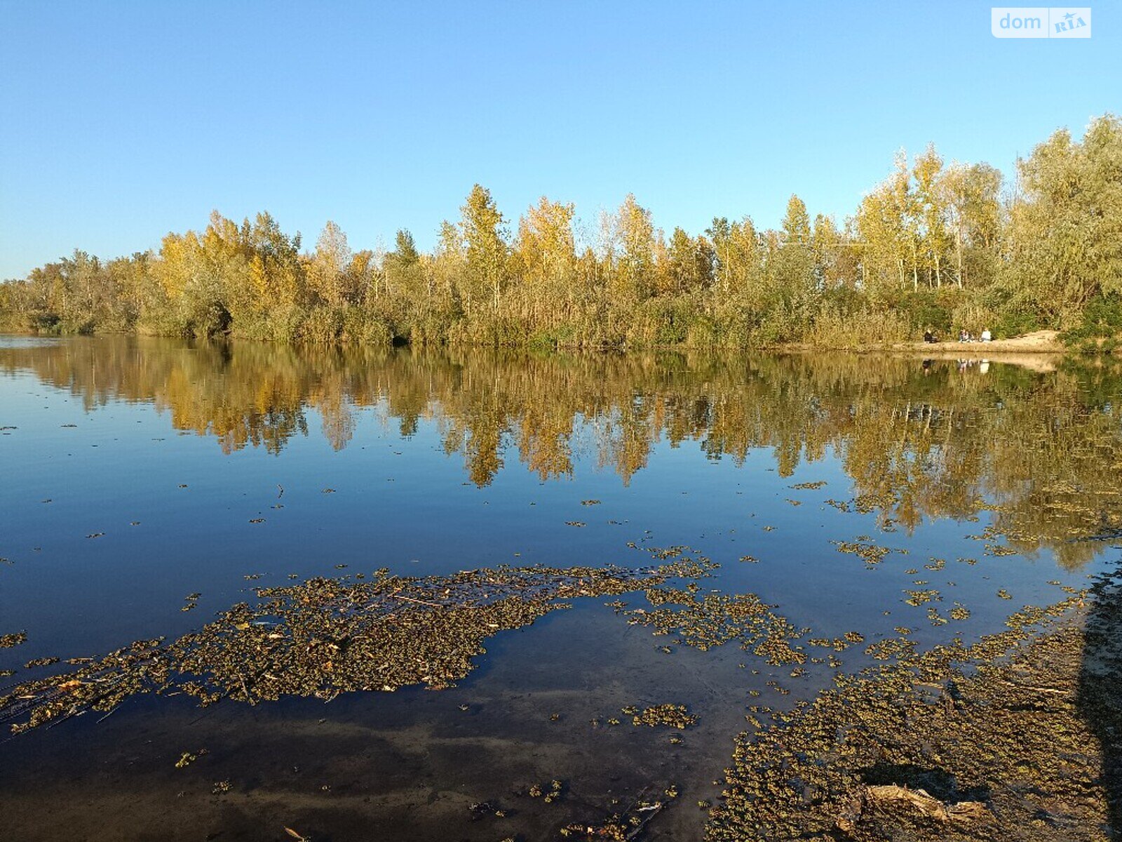 однокімнатна квартира з меблями в Дніпрі, район Парус, на пров. Парусний в довготривалу оренду помісячно фото 1