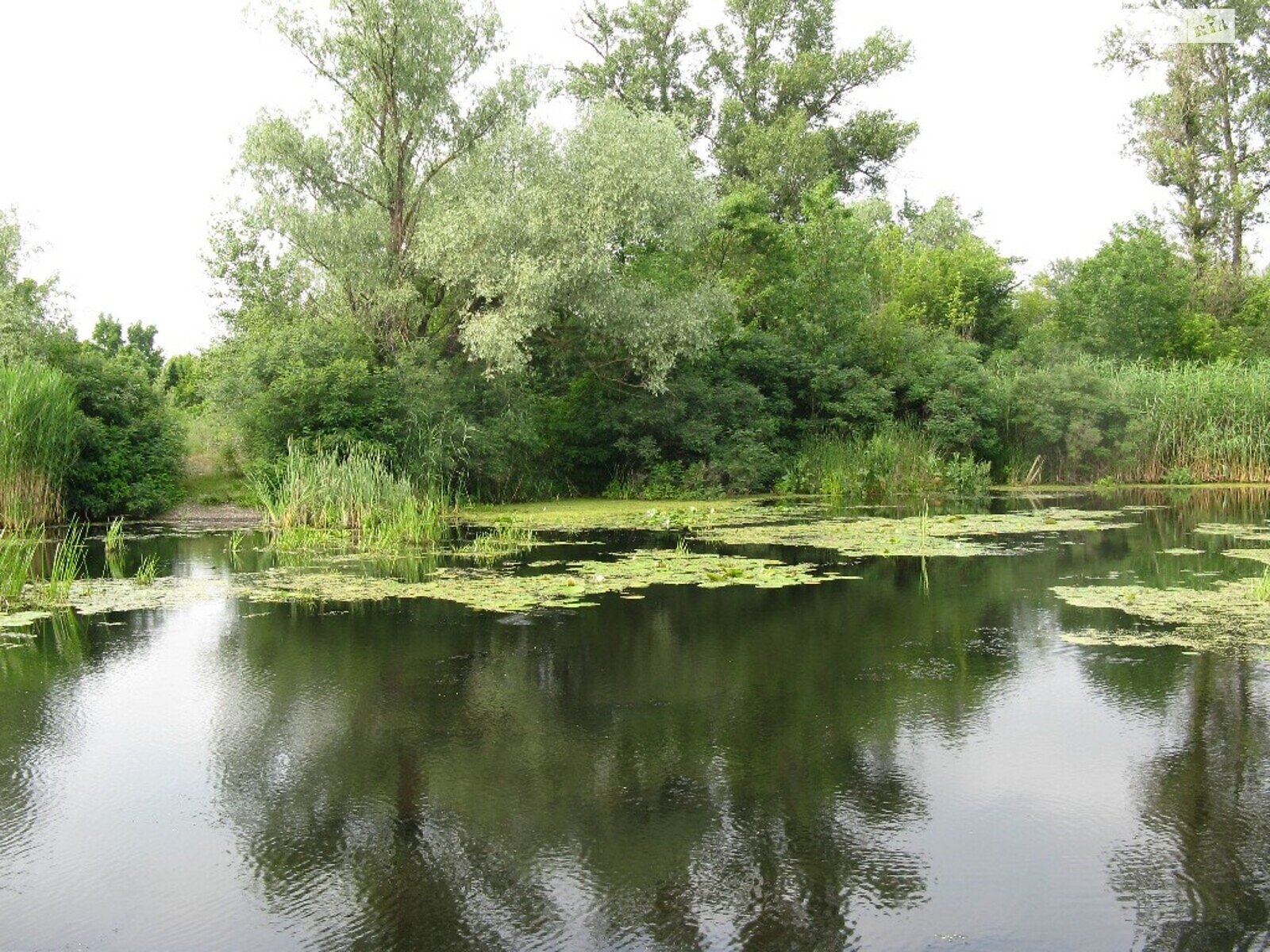 однокімнатна квартира з меблями в Дніпрі, район Парус, на пров. Парусний в довготривалу оренду помісячно фото 1