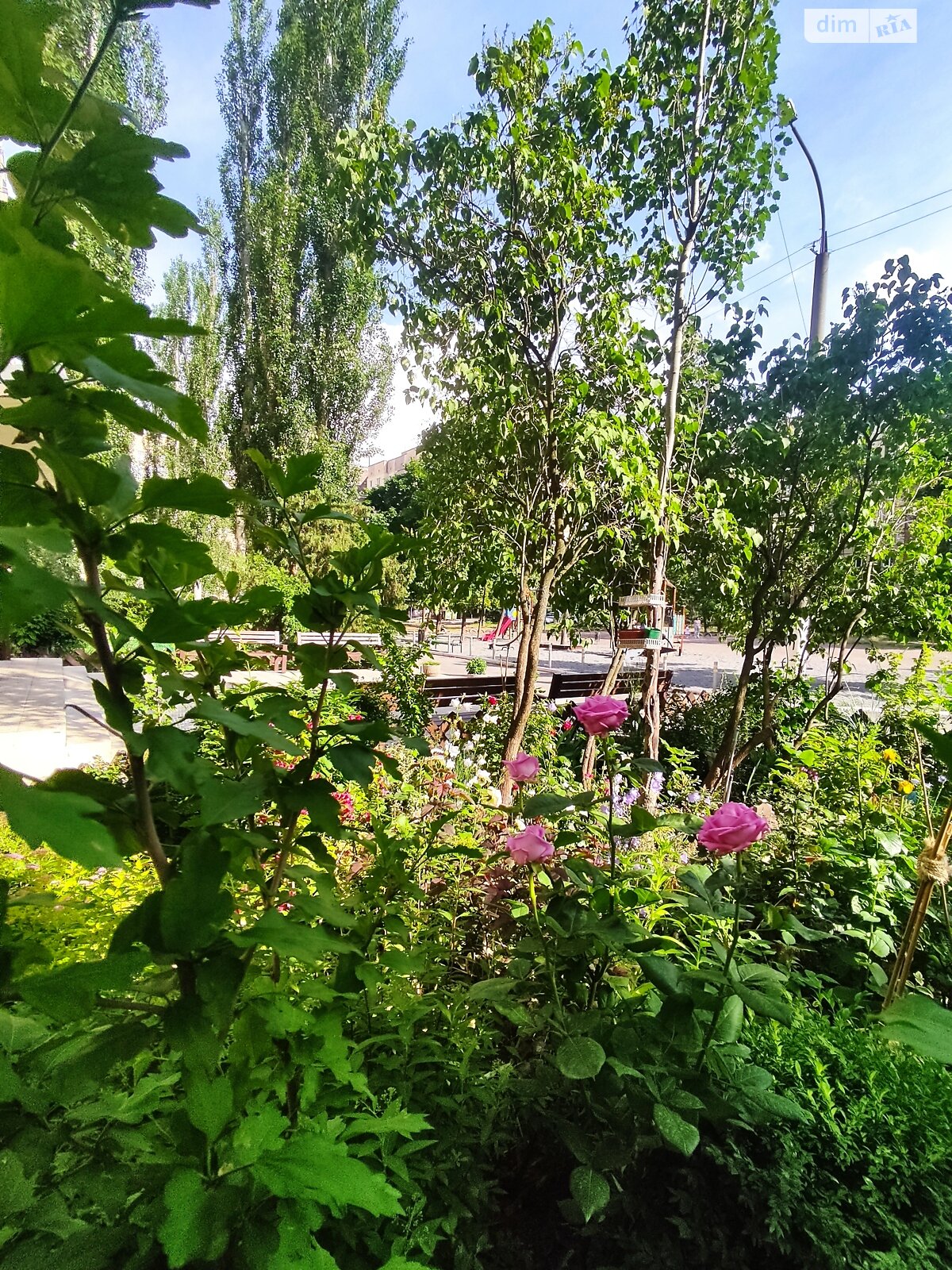 однокомнатная квартира в Днепре, район Победа-6, на пер. Добровольцев 10 в аренду на долгий срок помесячно фото 1 однокомнатная квартира в Днепре, район Победа-6, на пер. Добровольцев 10 в аренду на долгий срок помесячно фото 1