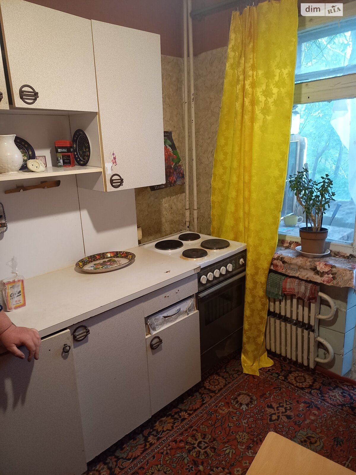 однокомнатная квартира в Днепре, район Покровский, на ул. Дия Максима 12 в аренду на долгий срок помесячно фото 1 однокомнатная квартира в Днепре, район Покровский, на ул. Дия Максима 12 в аренду на долгий срок помесячно фото 1