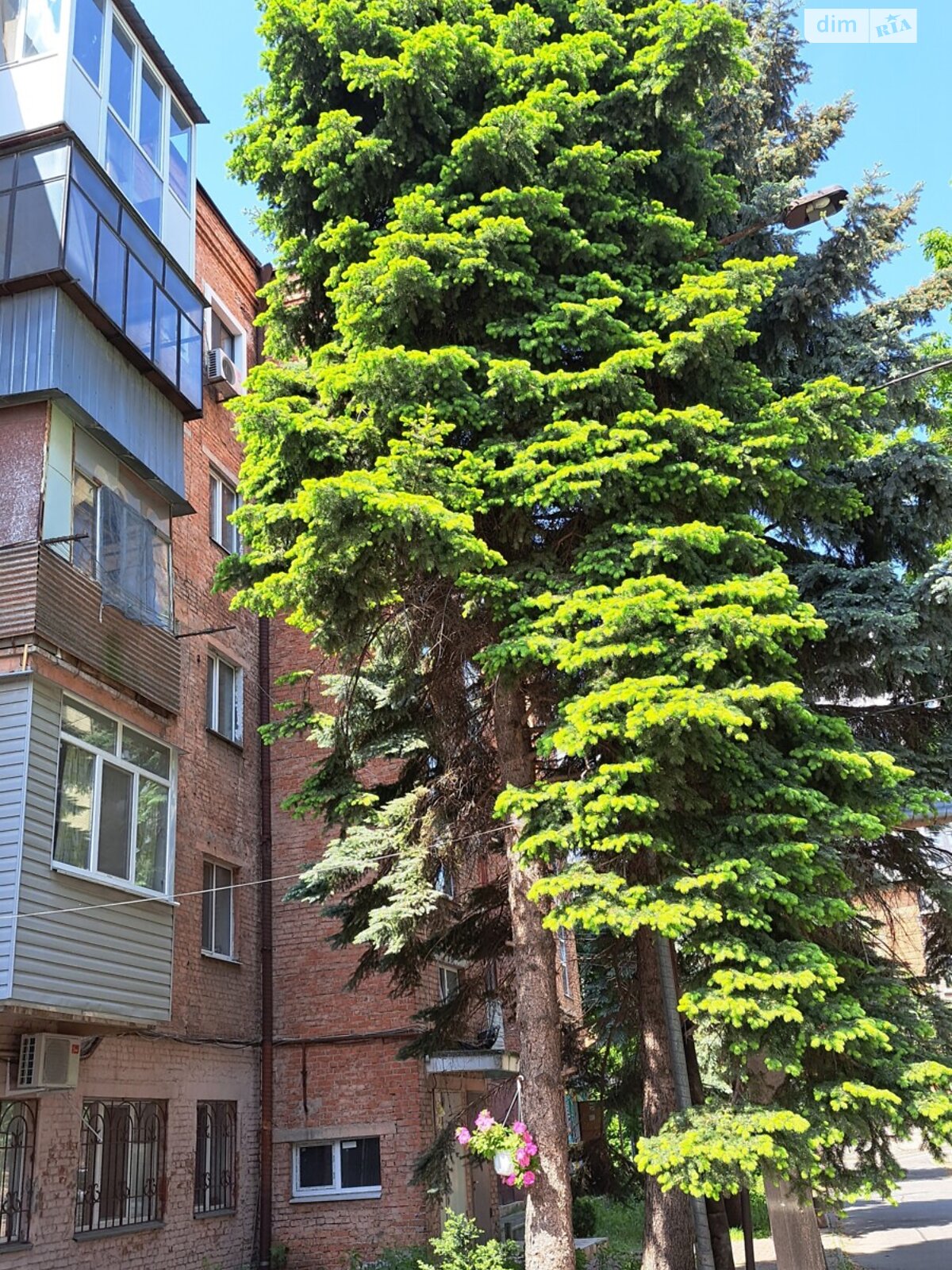 однокімнатна квартира в Дніпрі, район Центр, на вул. Старокозацька 44 в довготривалу оренду помісячно фото 1 однокімнатна квартира в Дніпрі, район Центр, на вул. Старокозацька 44 в довготривалу оренду помісячно фото 1