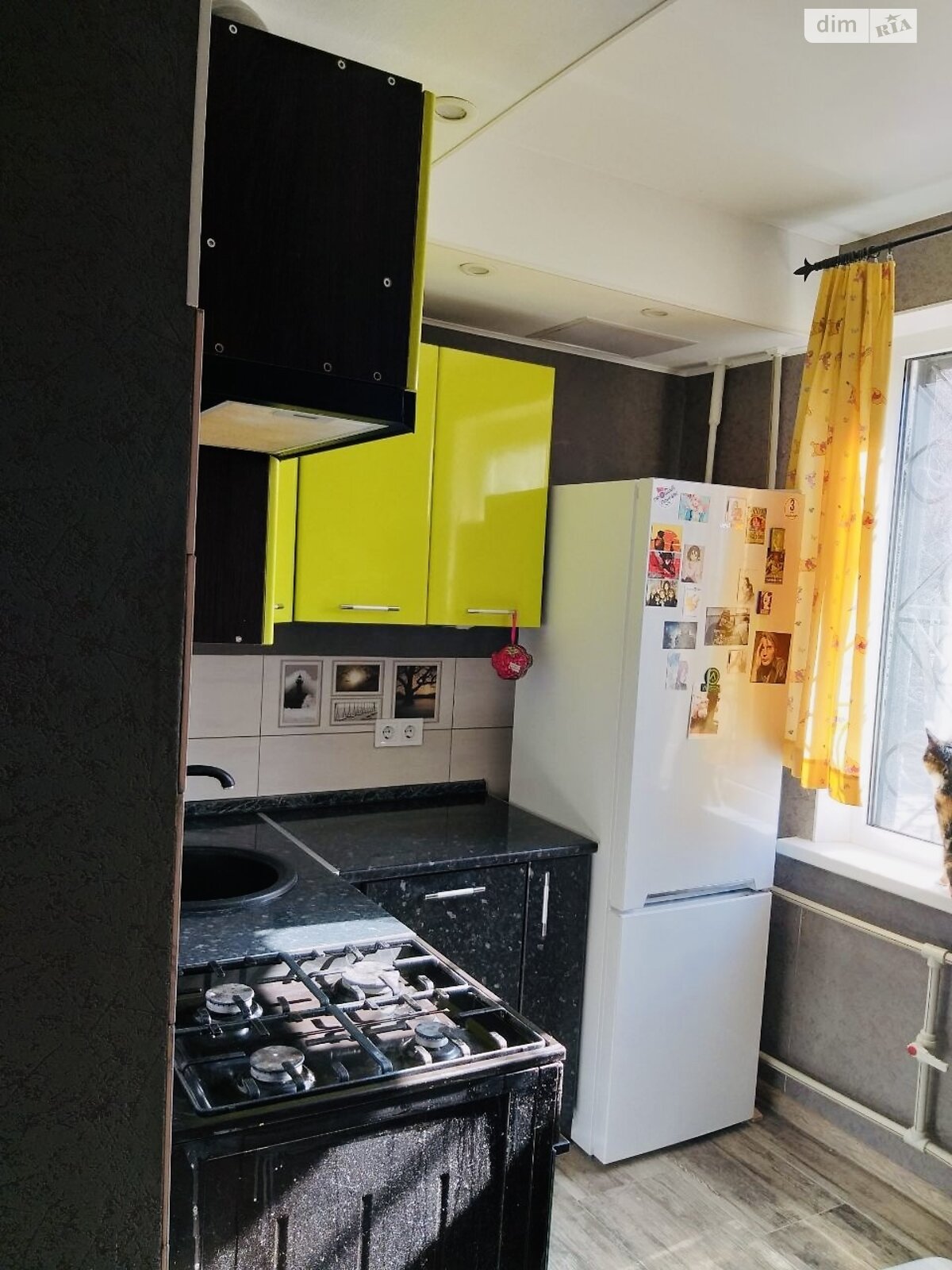 двокімнатна квартира в Харкові, район 522-ий мікрорайон, на вул. Нескорених 4А в довготривалу оренду помісячно фото 1 двокімнатна квартира в Харкові, район 522-ий мікрорайон, на вул. Нескорених 4А в довготривалу оренду помісячно фото 1