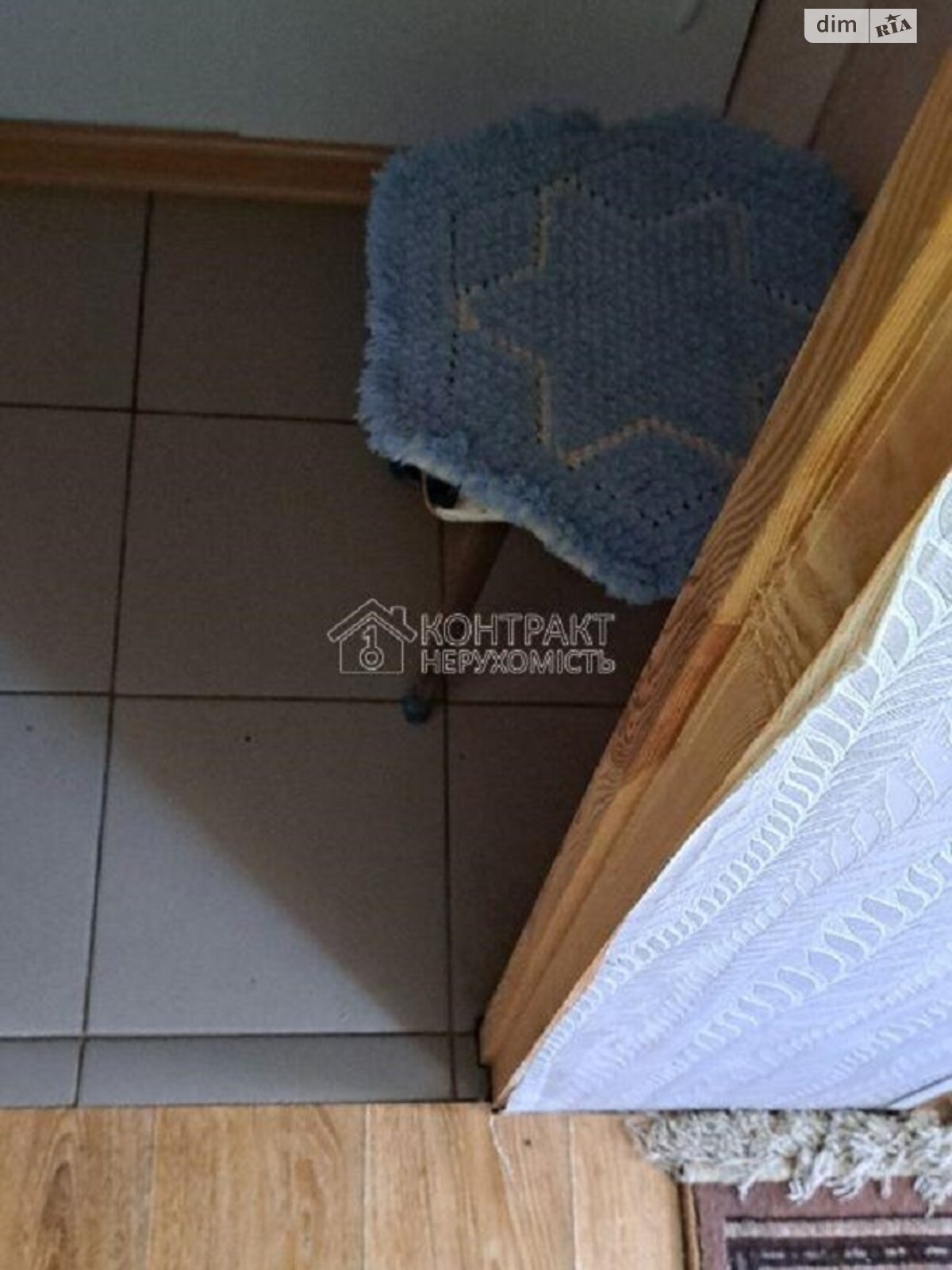 однокімнатна квартира в Харкові, район Нова Баварія, на просп. Любові Малої 4 в довготривалу оренду помісячно фото 1 однокімнатна квартира в Харкові, район Нова Баварія, на просп. Любові Малої 4 в довготривалу оренду помісячно фото 1