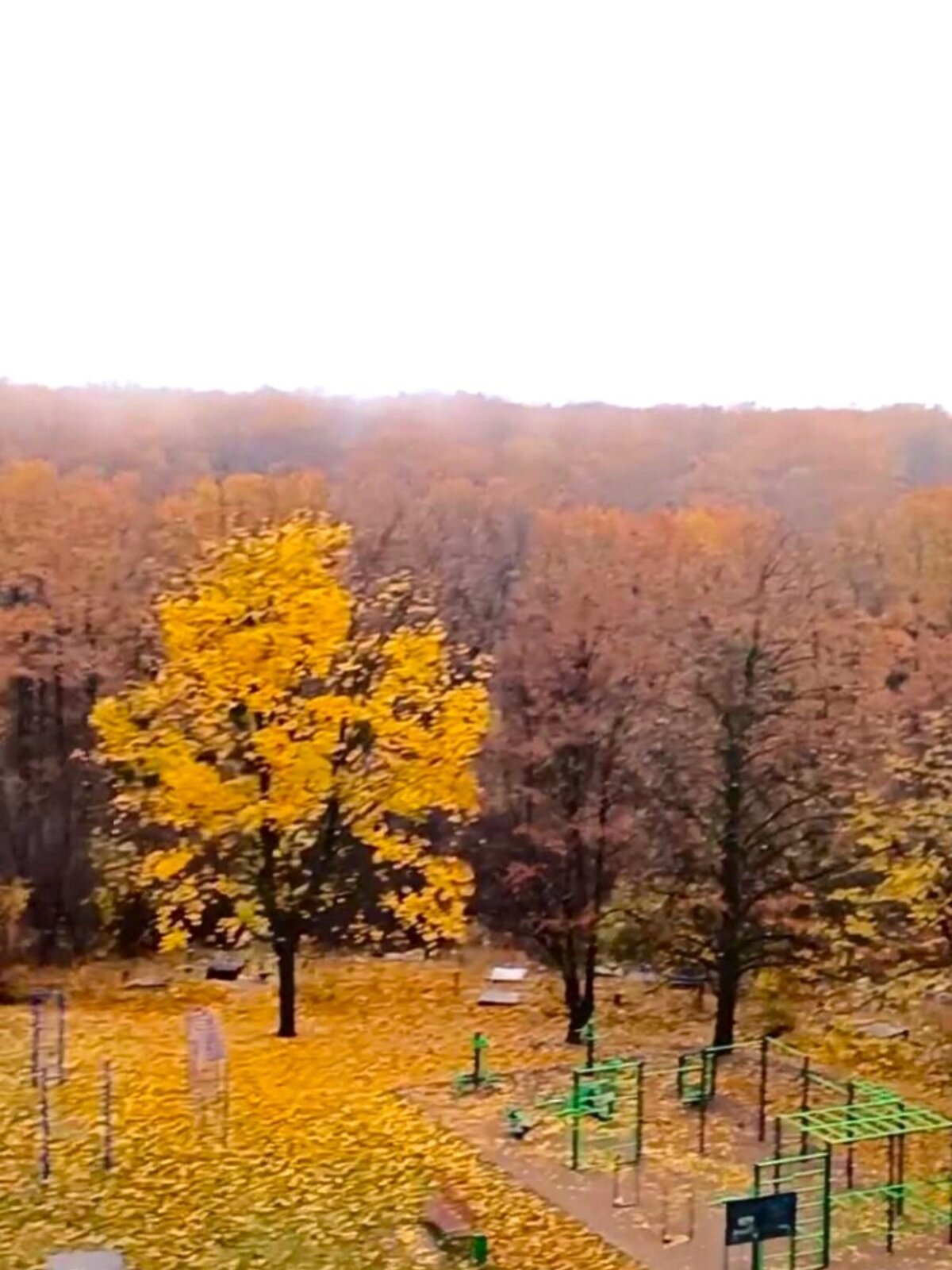 однокімнатна квартира в Харкові, район Шевченківський, на просп. Перемоги 78Б в довготривалу оренду помісячно фото 1