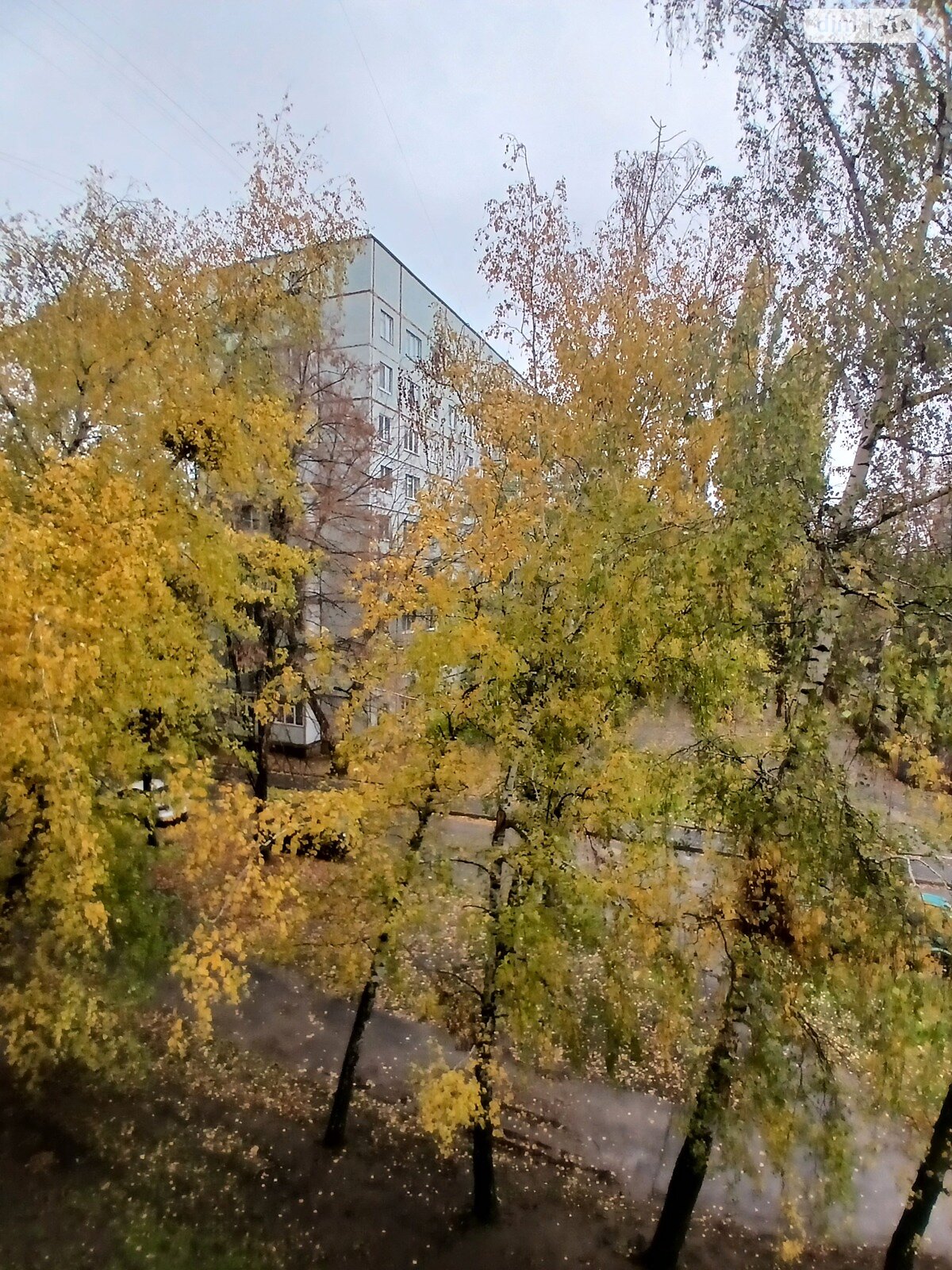 двухкомнатная квартира в Харькове, район Шевченковский, на просп. Победы 72 в аренду на долгий срок помесячно фото 1 двухкомнатная квартира в Харькове, район Шевченковский, на просп. Победы 72 в аренду на долгий срок помесячно фото 1