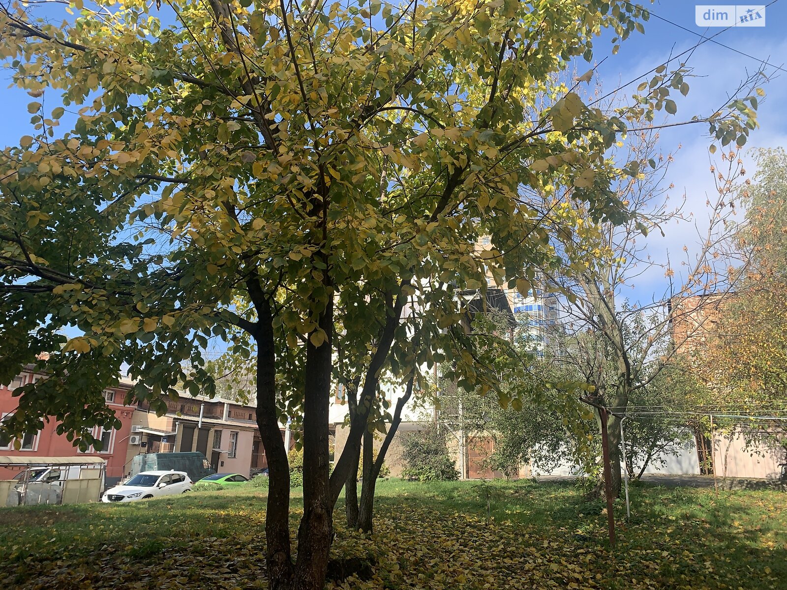 двухкомнатная квартира в Харькове, район Центр, на пер. Гурченко Людмилы 6, кв. 6 в аренду на долгий срок помесячно фото 1