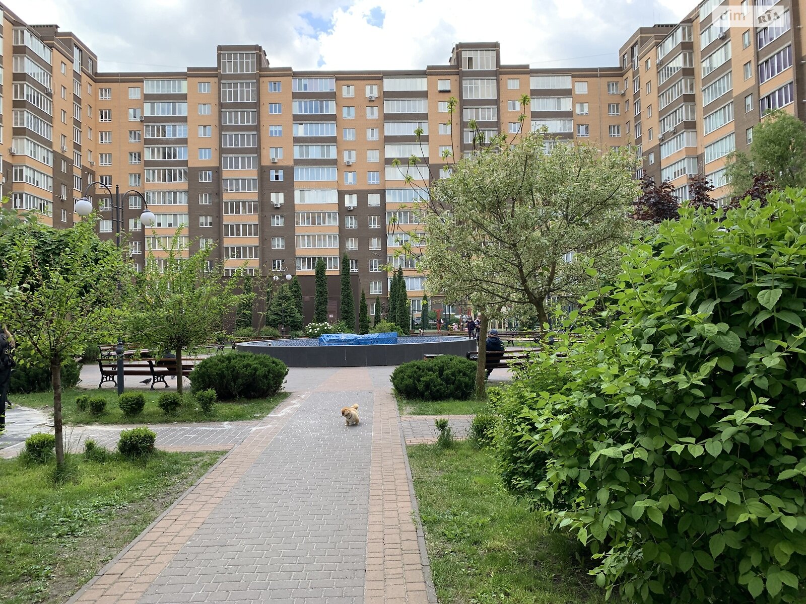 двокімнатна квартира в Хмельницькому, район Виставка, на вул. Зарічанська 1Г в довготривалу оренду помісячно фото 1 двокімнатна квартира в Хмельницькому, район Виставка, на вул. Зарічанська 1Г в довготривалу оренду помісячно фото 1